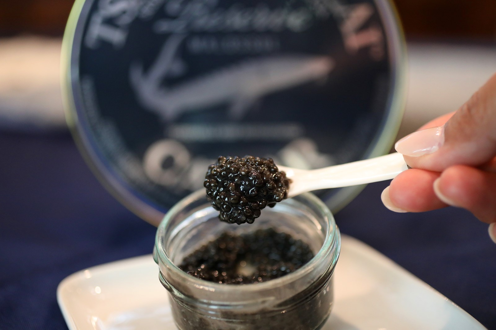 SJM-L-CAVIAR-0902-3_1066595985.jpg