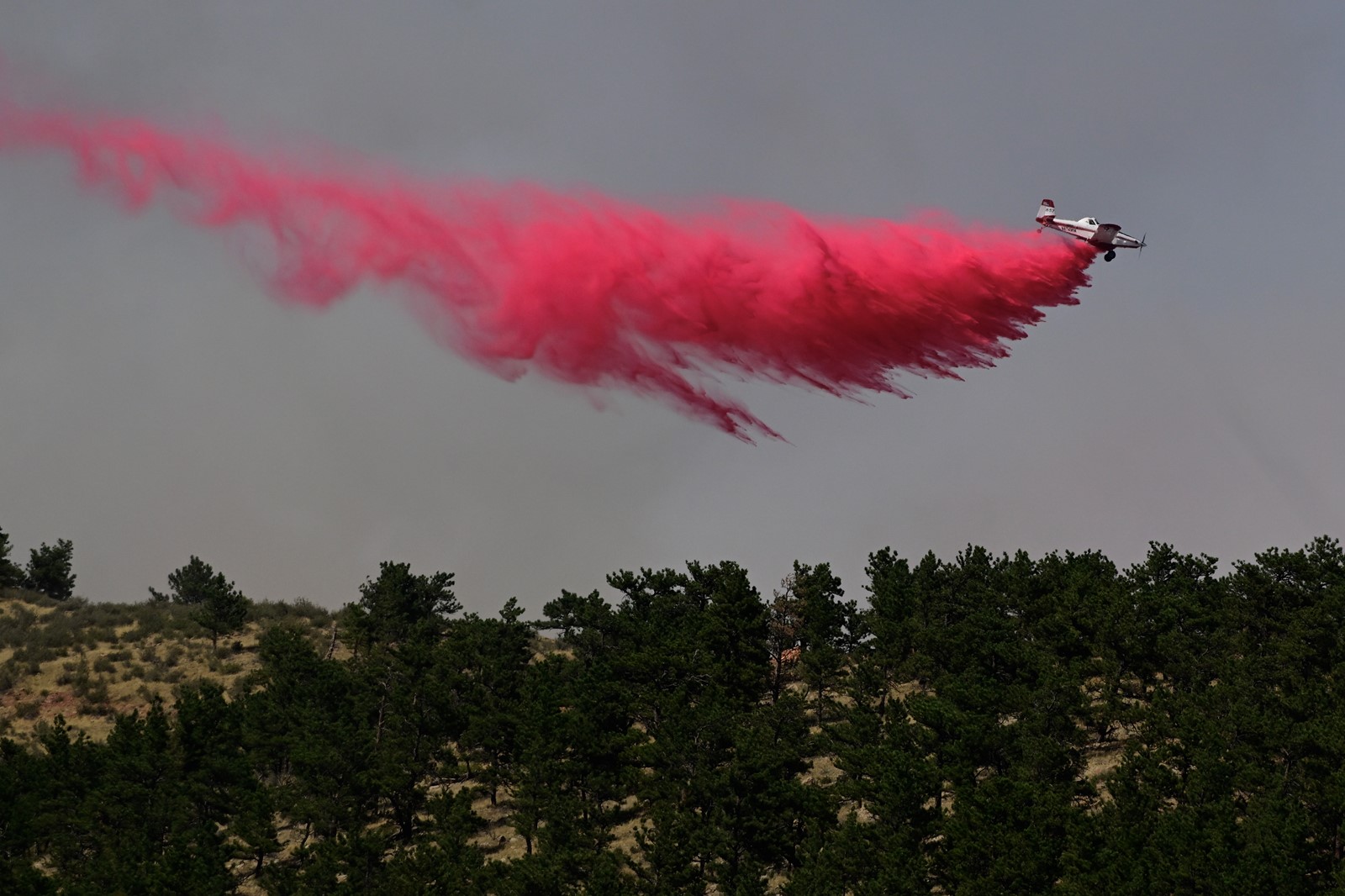 DCC-L-LYONSFIRE_1MJ5654_1092534083.jpg