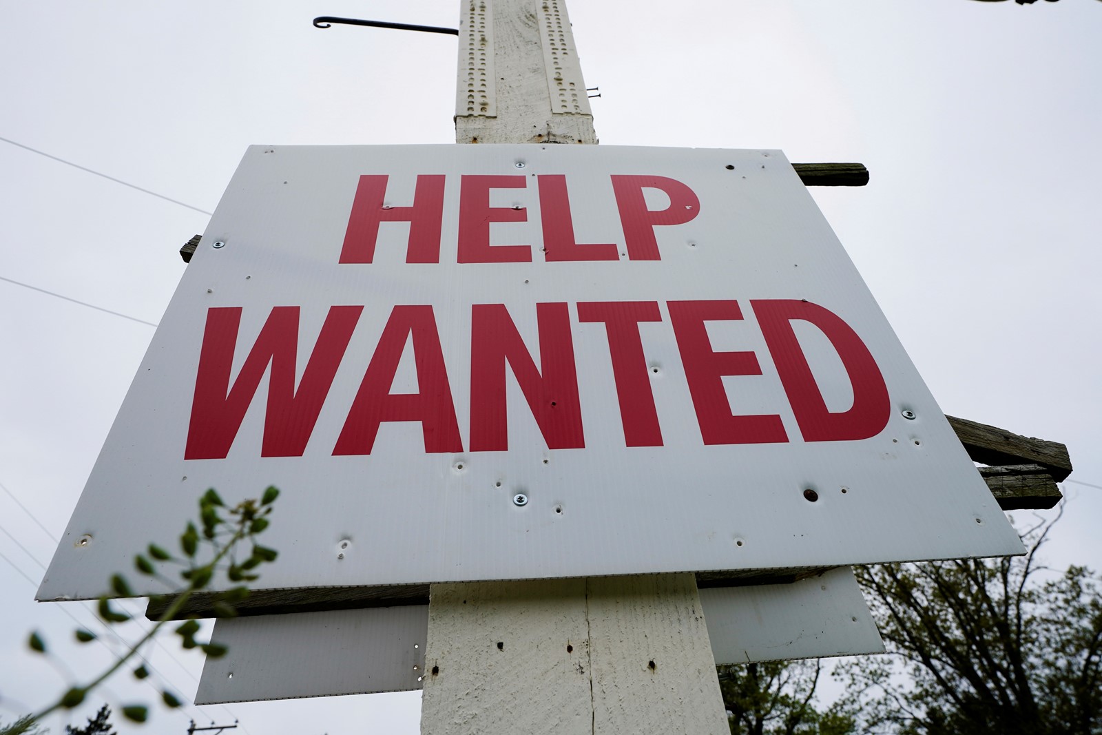 Job_Openings_07120--fefef_1093958514.jpg
