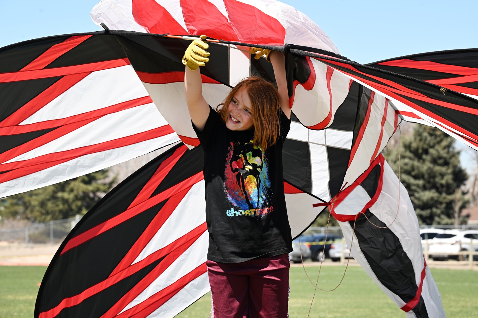 TDP-L-KITES-012_1076809814.jpg