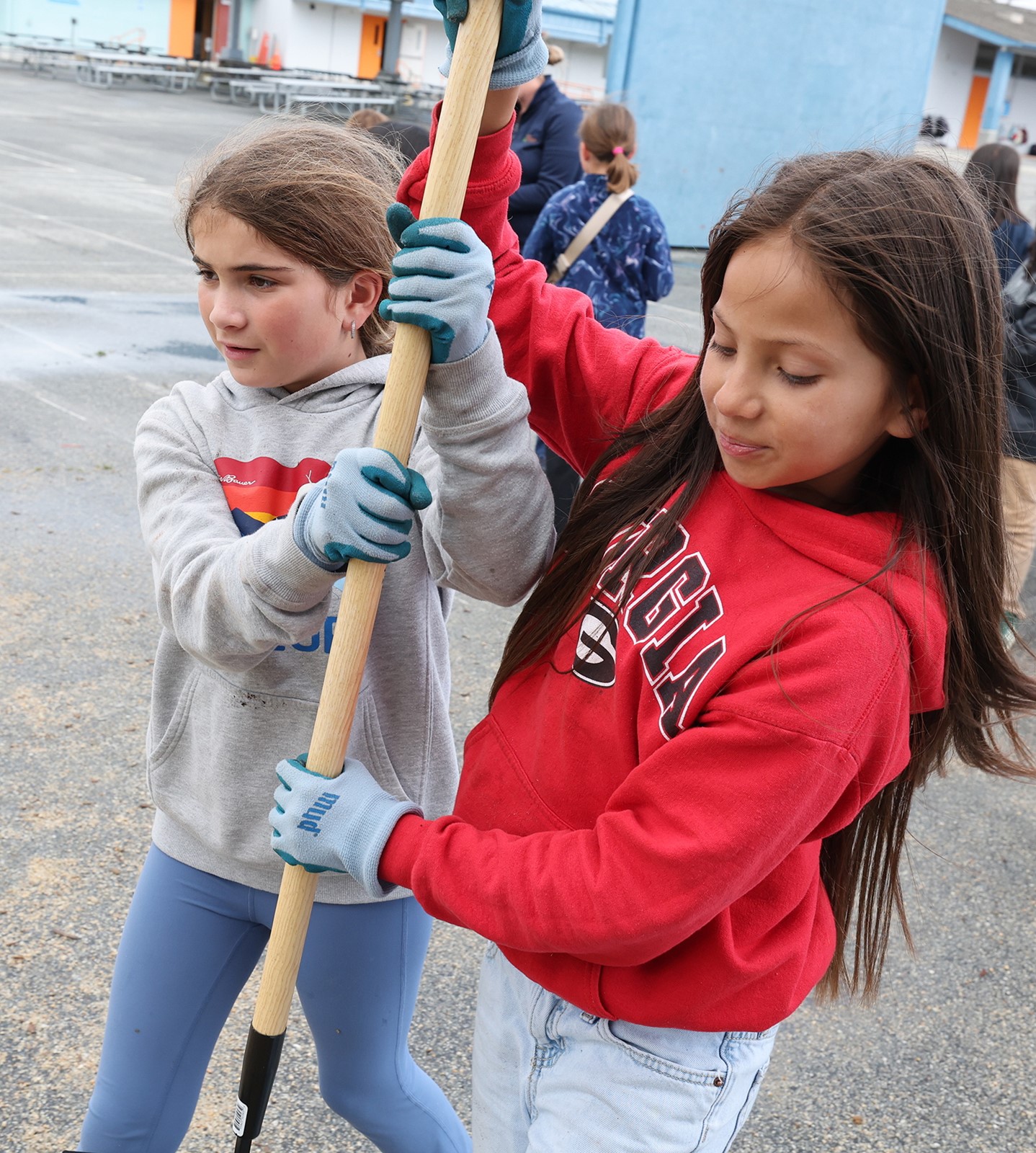 0430_NWS_STC-L-GARDENBOXPAGE-0501-04JPG_1092558703.jpg