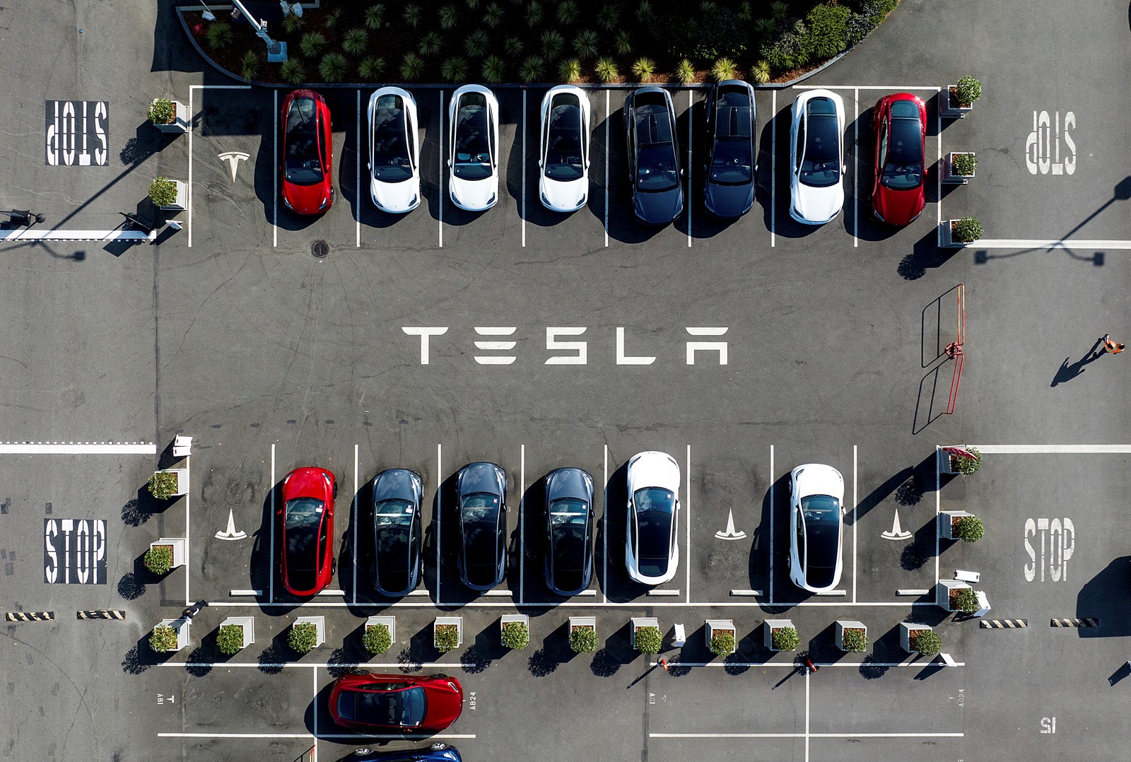 Tesla_Results_42547--83157_1092258067.jpg