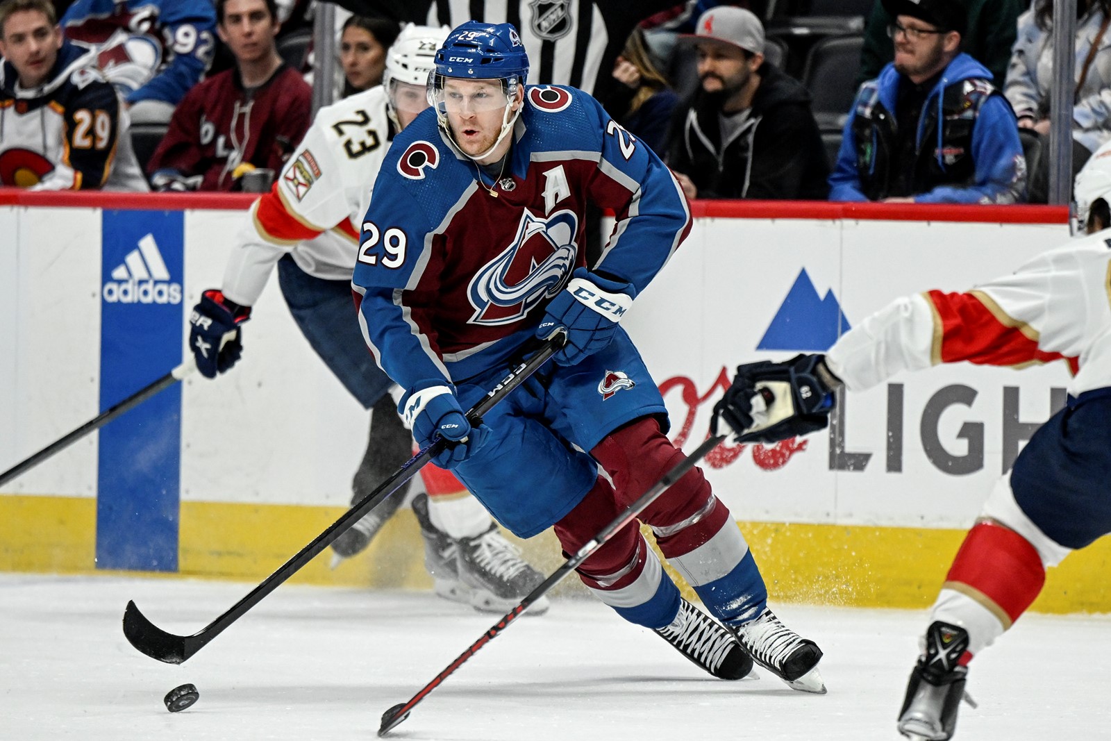 TDP-L-AVS-PANTHERS_AAO2321xx_1061270476.jpg