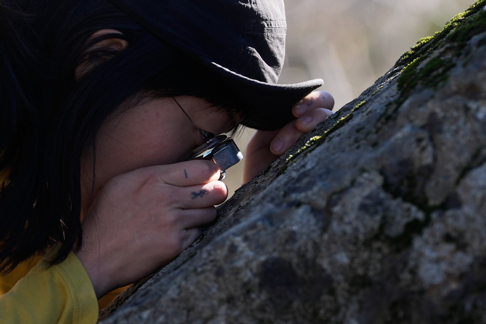 Climate_Fungi_Conservation_15106--6b186_1103397728.jpg
