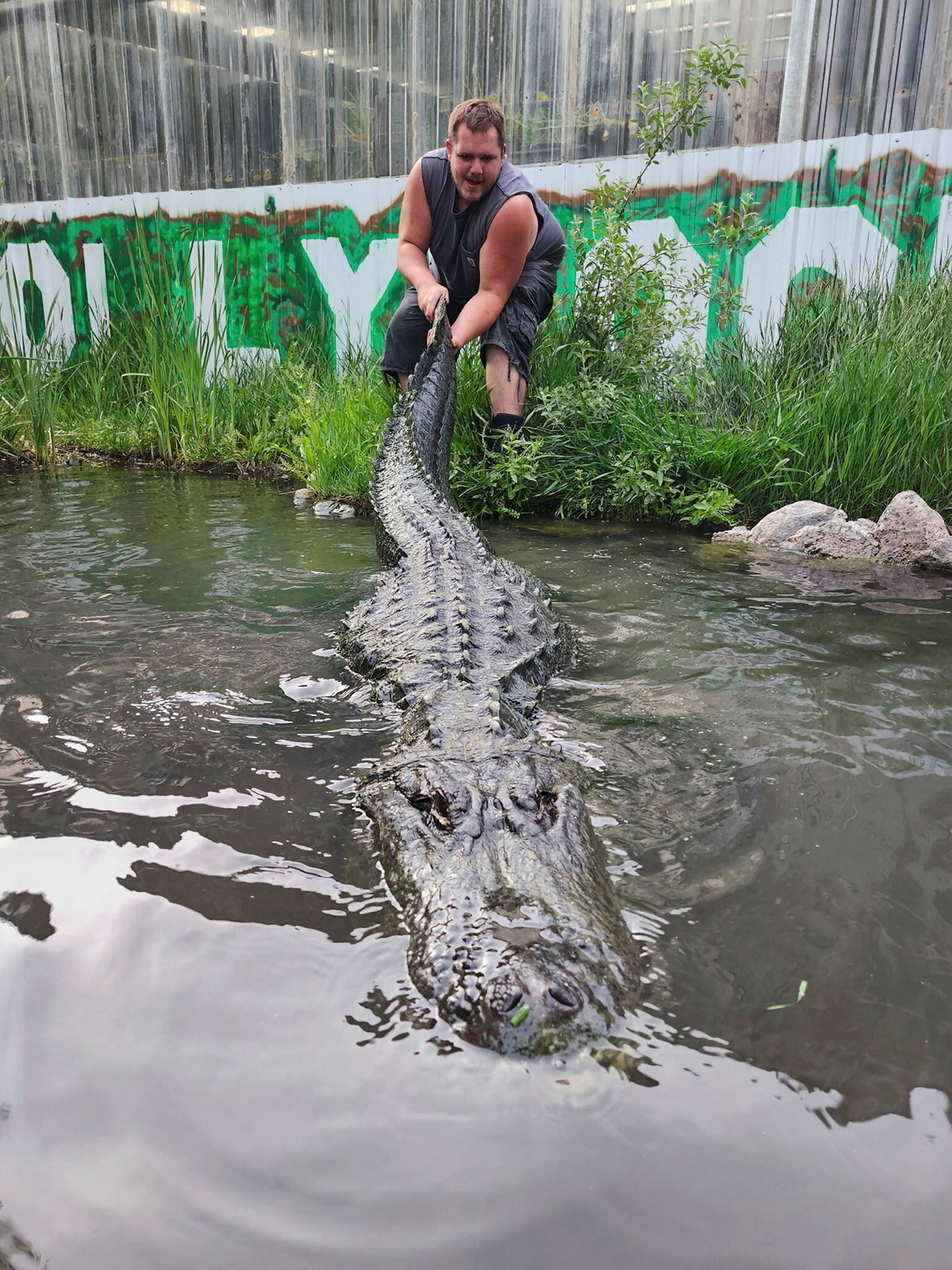 Movie_Gator_Dies_53960--8f756_1093140461.jpg