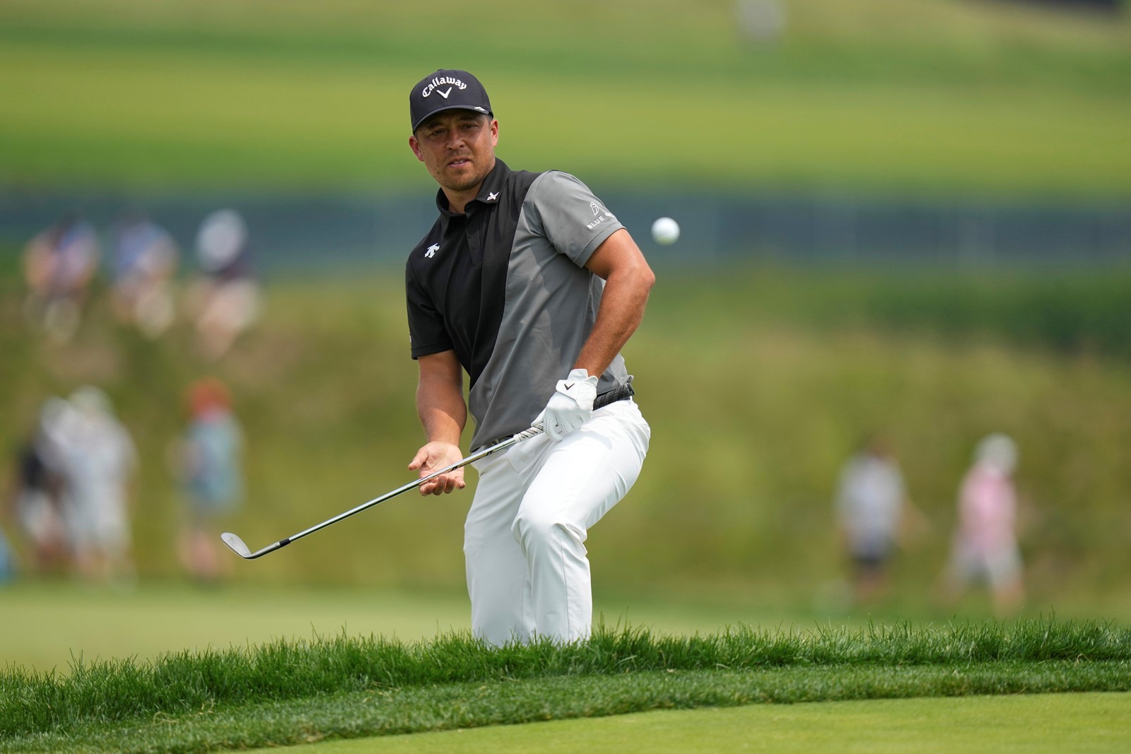 US_Open_Golf_25364--898ff_1095101645.jpg