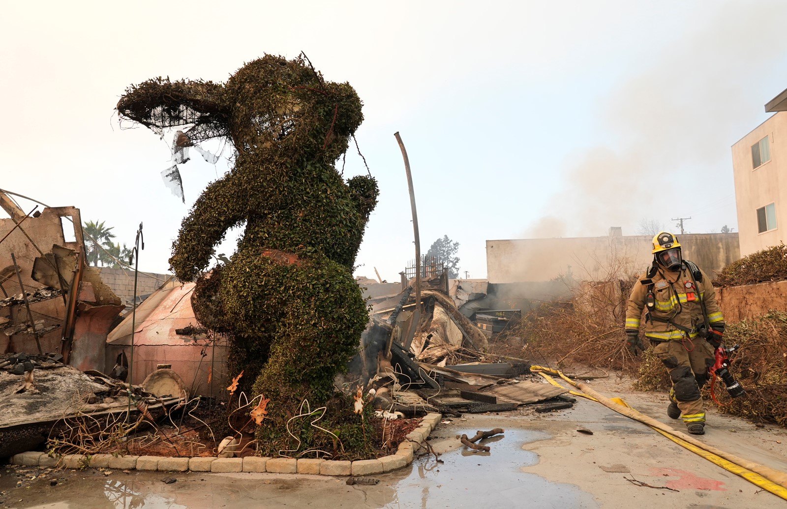 California_Wildfires_89448--026c4_1088442724.jpg