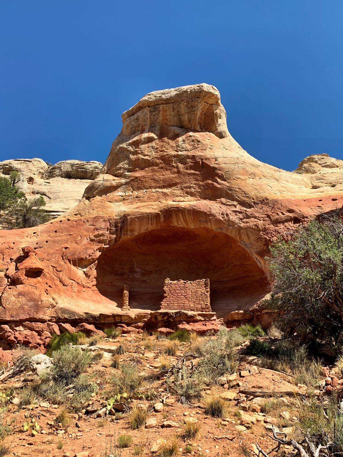 TDP-Z-SandCanyon_1092030571.jpg