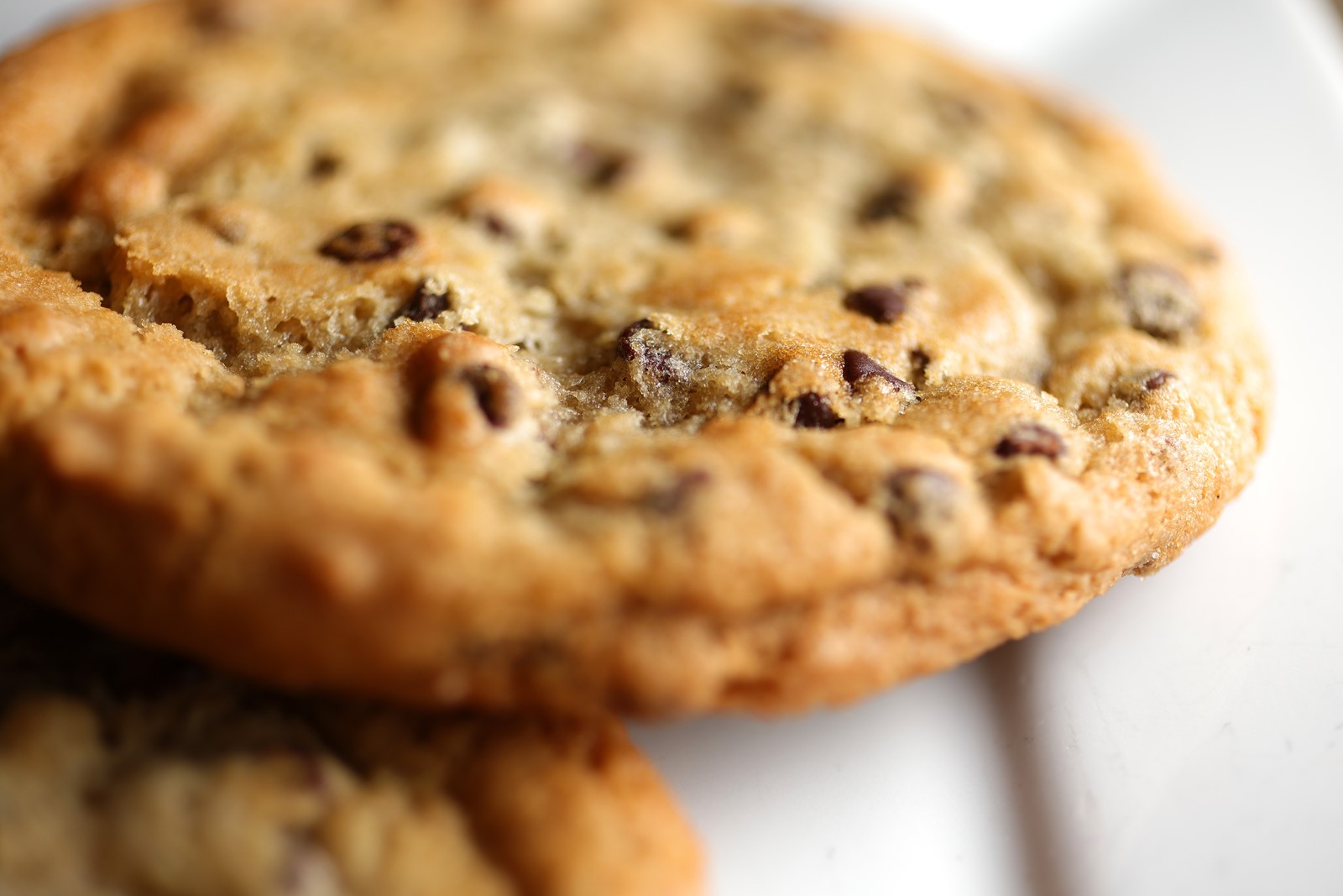 0425_NWS_SJM-L-COOKIES-0505-11_1077894021.jpg