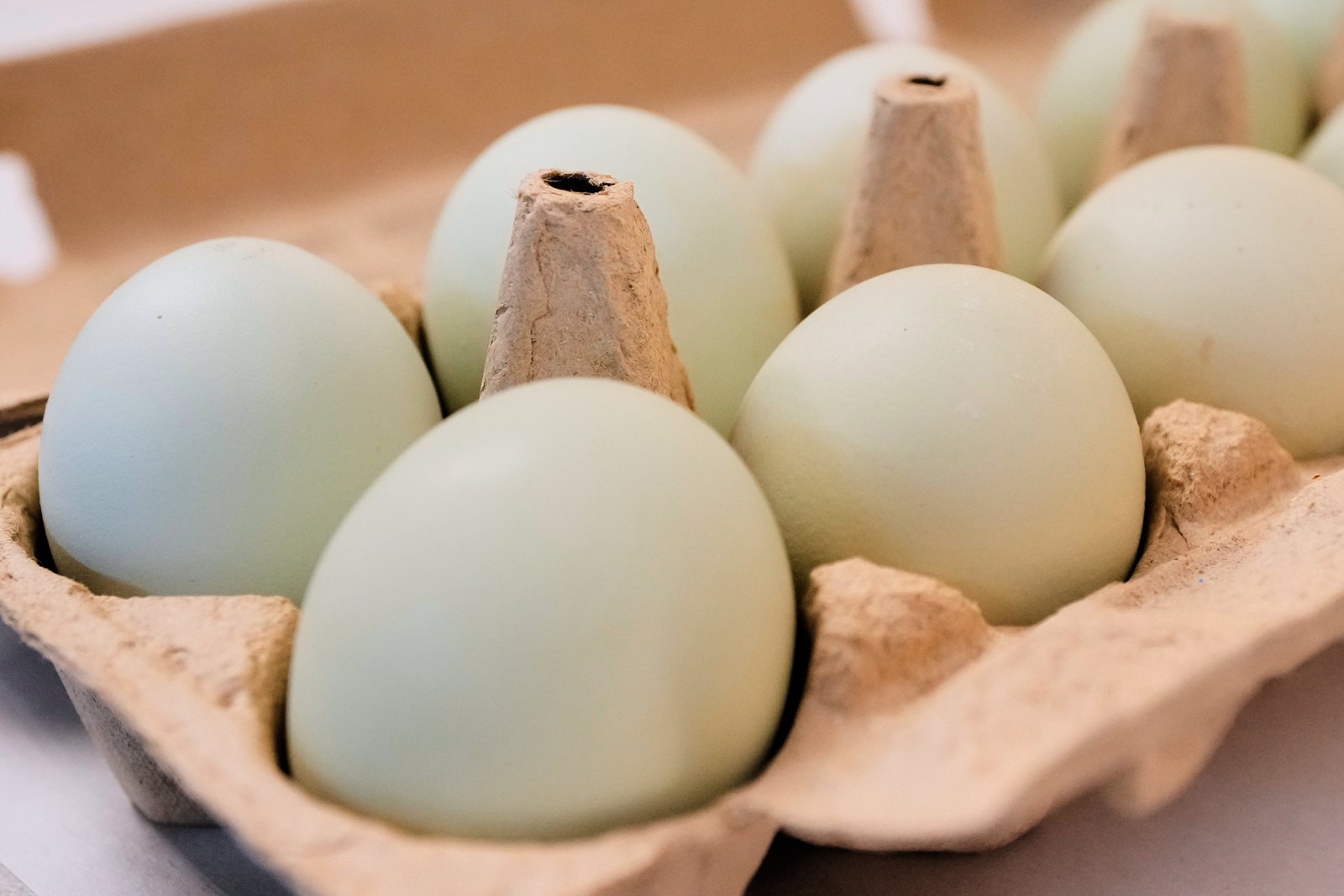 Egg_Prices_By_the_Numbers__7618--abffd_1105110910.jpg