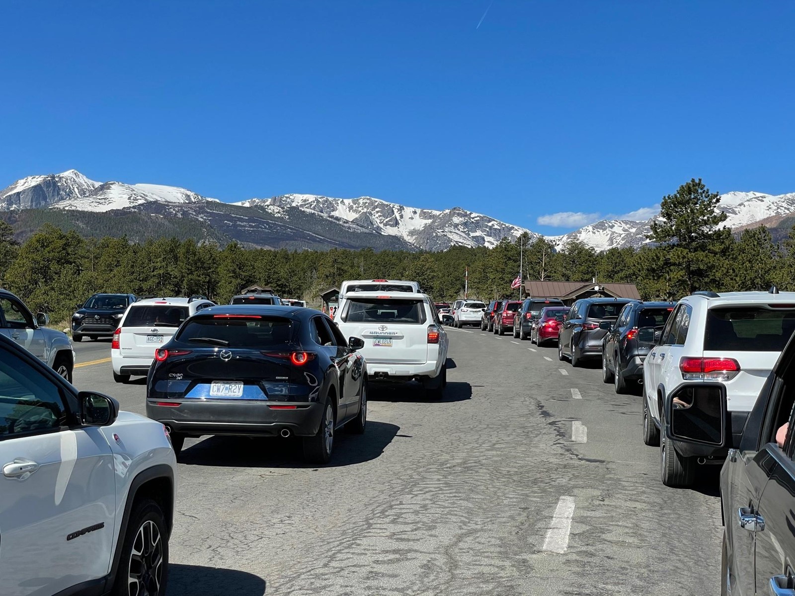 TKN-L-RMNP-1_1078203048.jpg