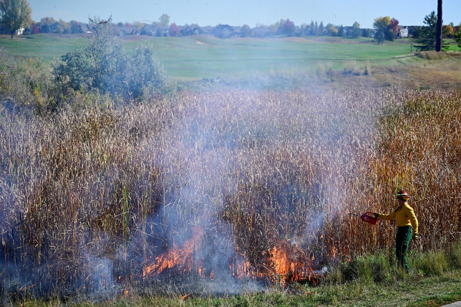 DCC-L-LFDBURN_1MJ0407_1085559969.jpg