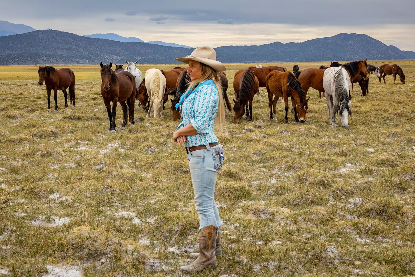 202510140400MCT_____PHOTO____LIFE-ENV-CALIF-WILD-HORSES-9-LA_1098712477.jpg