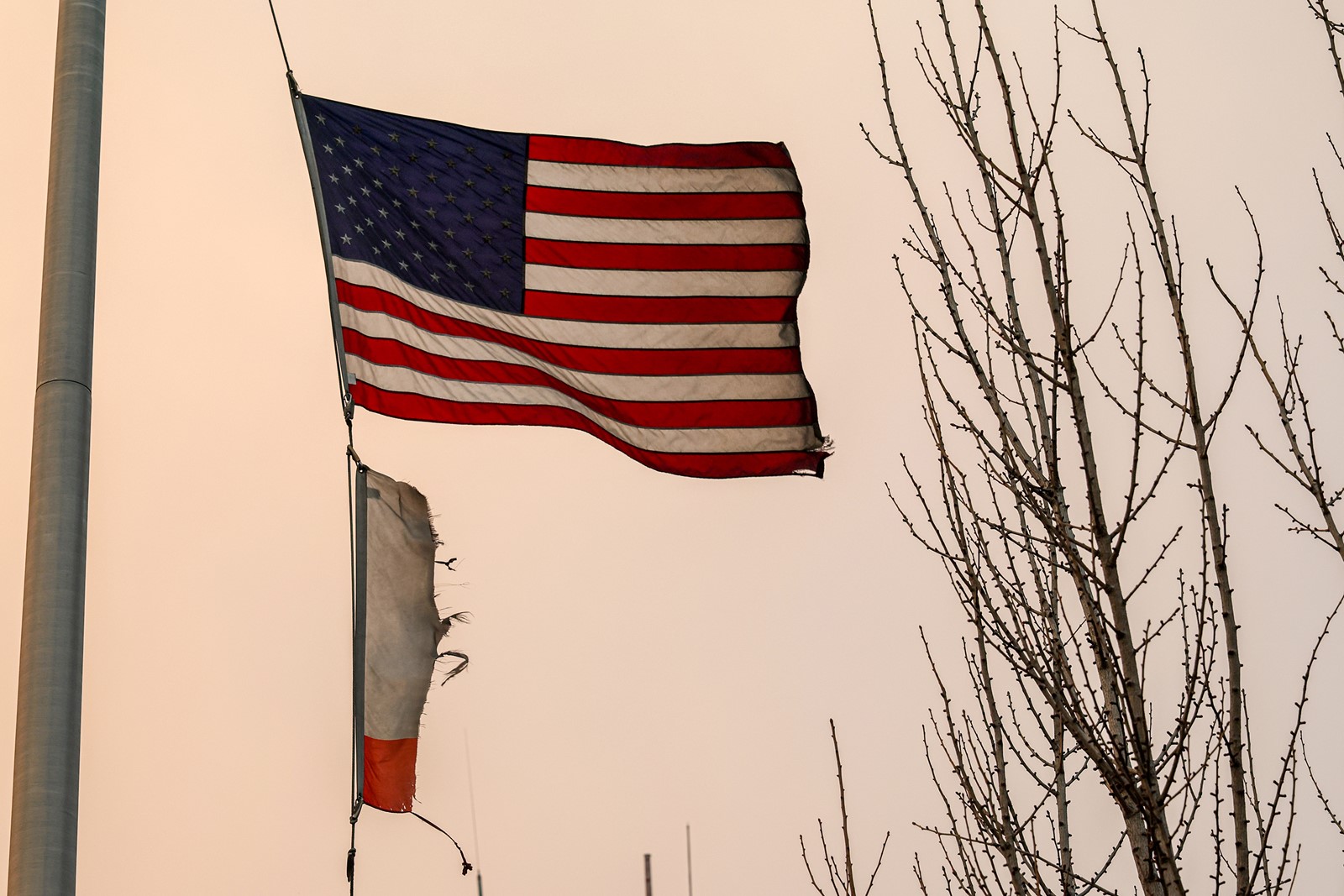 202503091342MCT_____PHOTO____US-NEWS-CALIF-WILDFIRES-STRESS-LA_1090647550.jpg