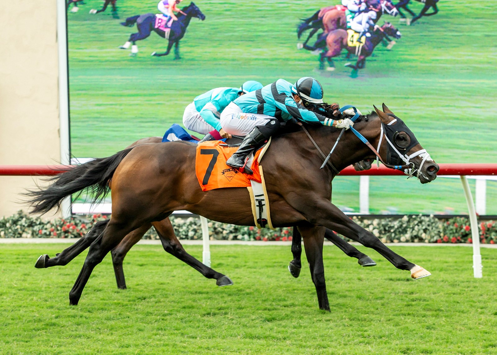 Oceanside_Stakes_Horse_Racing_46412--abe36_1095474876.jpg