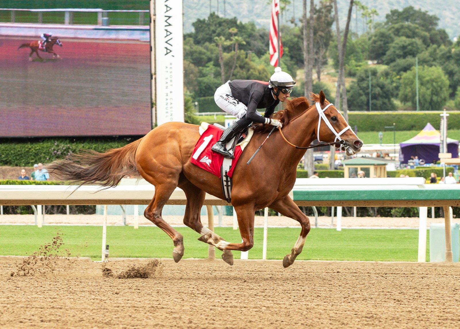 santa_anita_horse_racing_25721__87373_1081632038.jpg