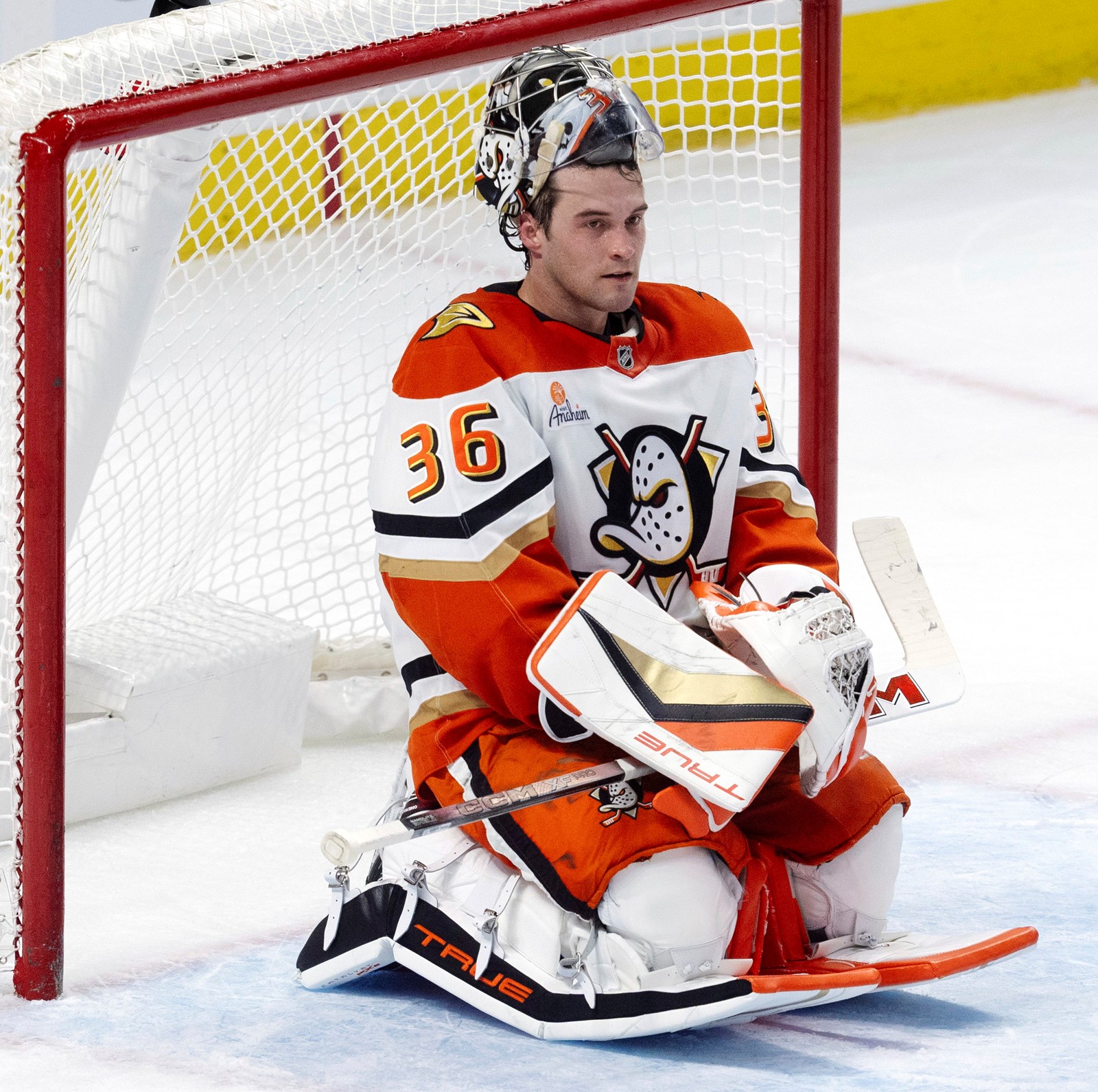 Senators_Ducks_Hockey_94329--d0b1b_1087522905.jpg
