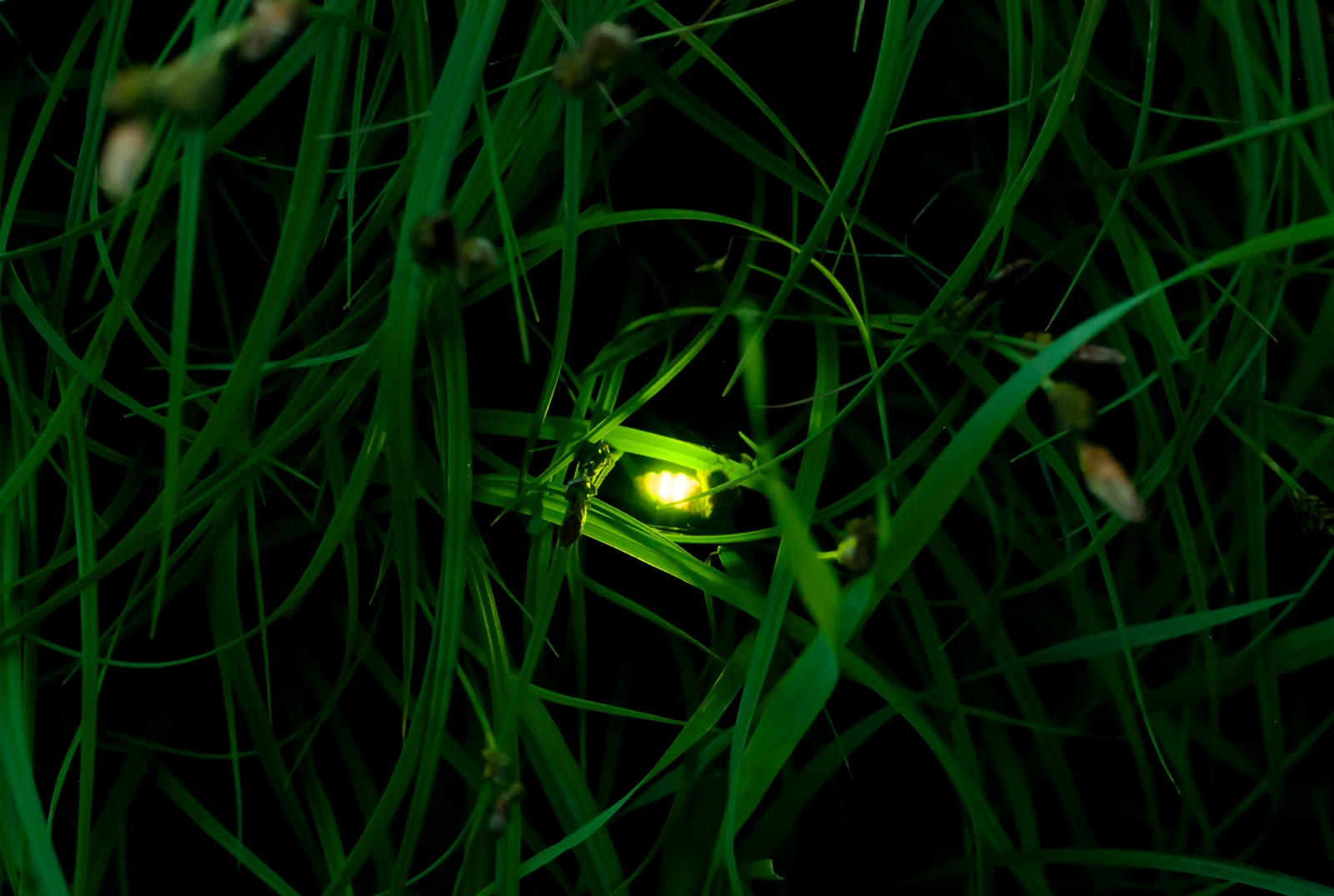 202502100500MCT_____PHOTO____TRV-WLT-NATURAL-PHENOMENA-TRIPS-2-DMT_1089655156.jpg
