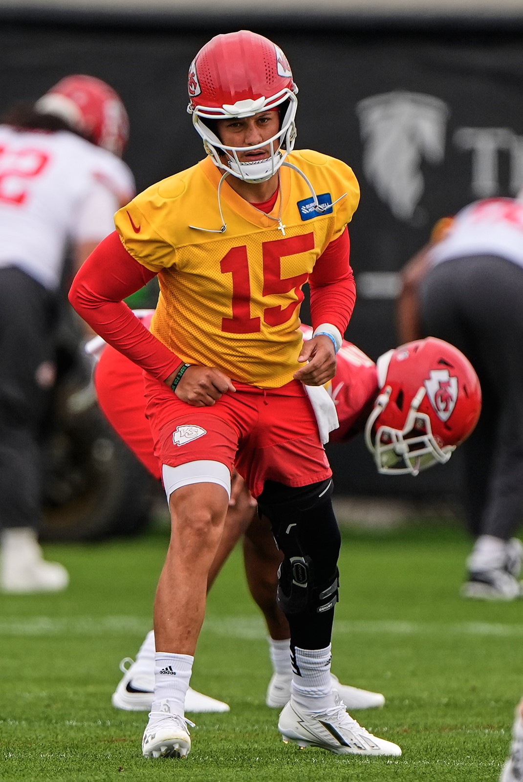 Chiefs_Football_556_7--9a206_1107173656.jpg