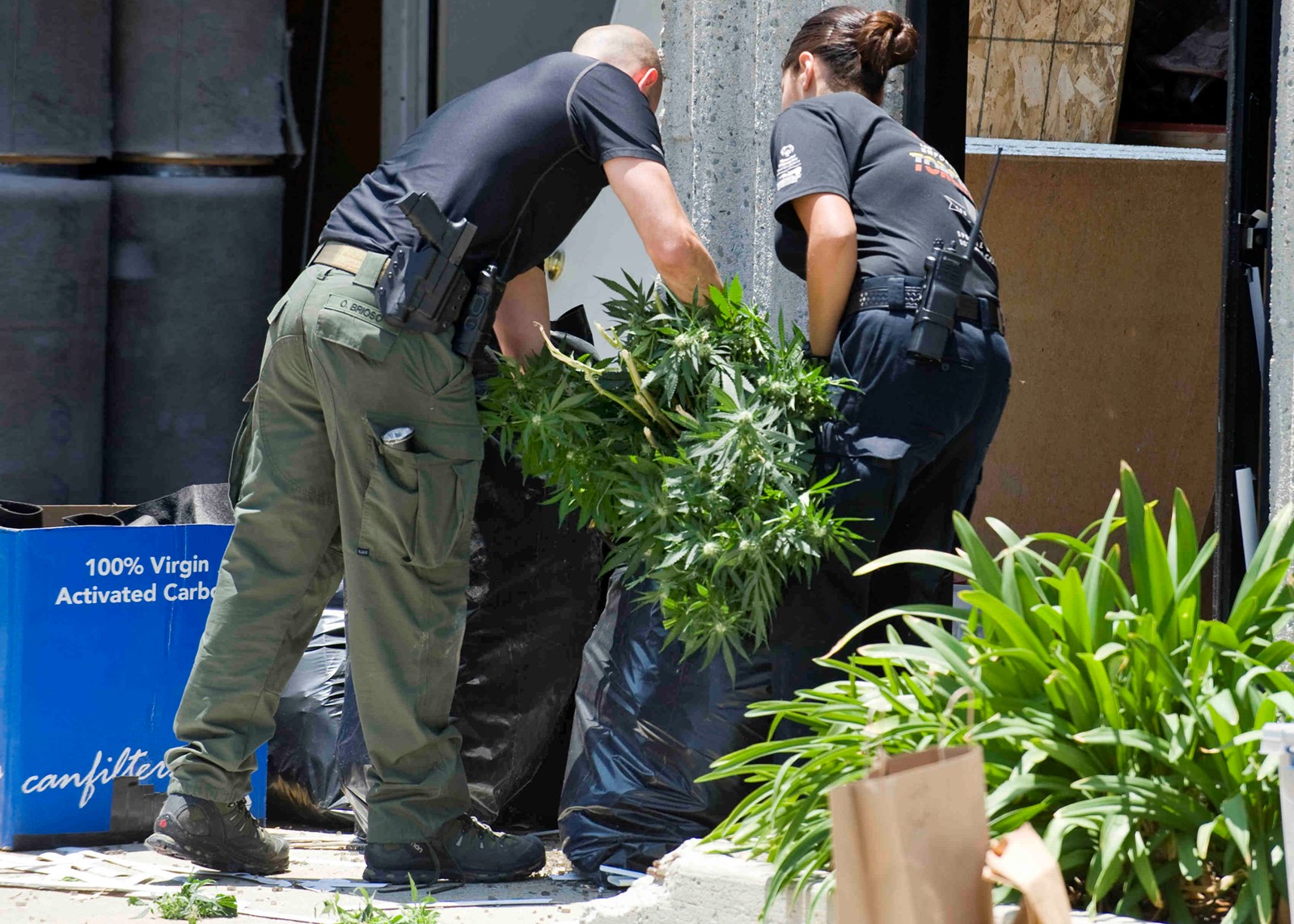 EBT-L-ILLEGALPOT-0413-1_1077378471.jpg