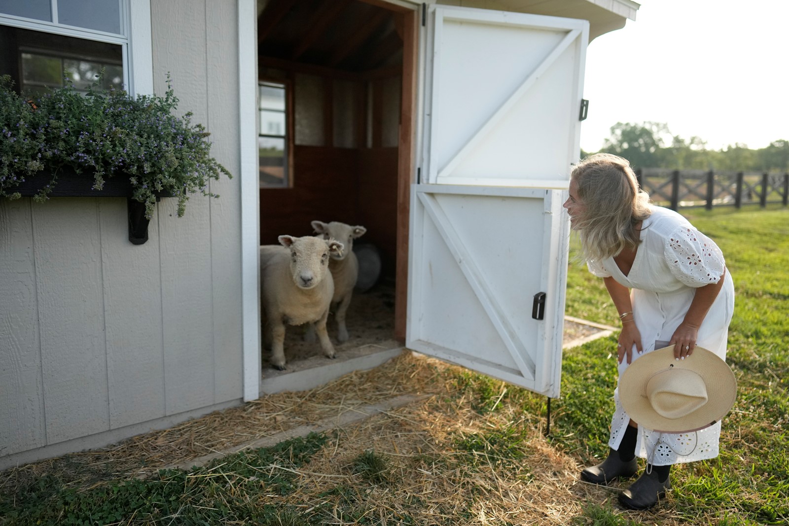 Mini_Farm_Animals_99200--56987_1082783191.jpg