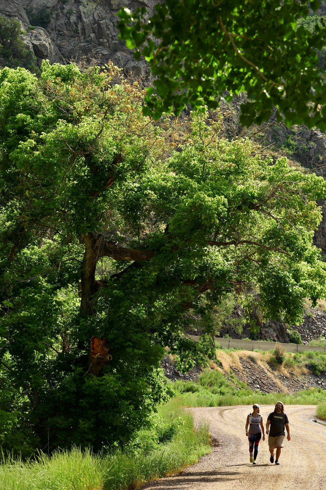 TDP-L-WATERTON_CANYON_691_1092030451.jpg