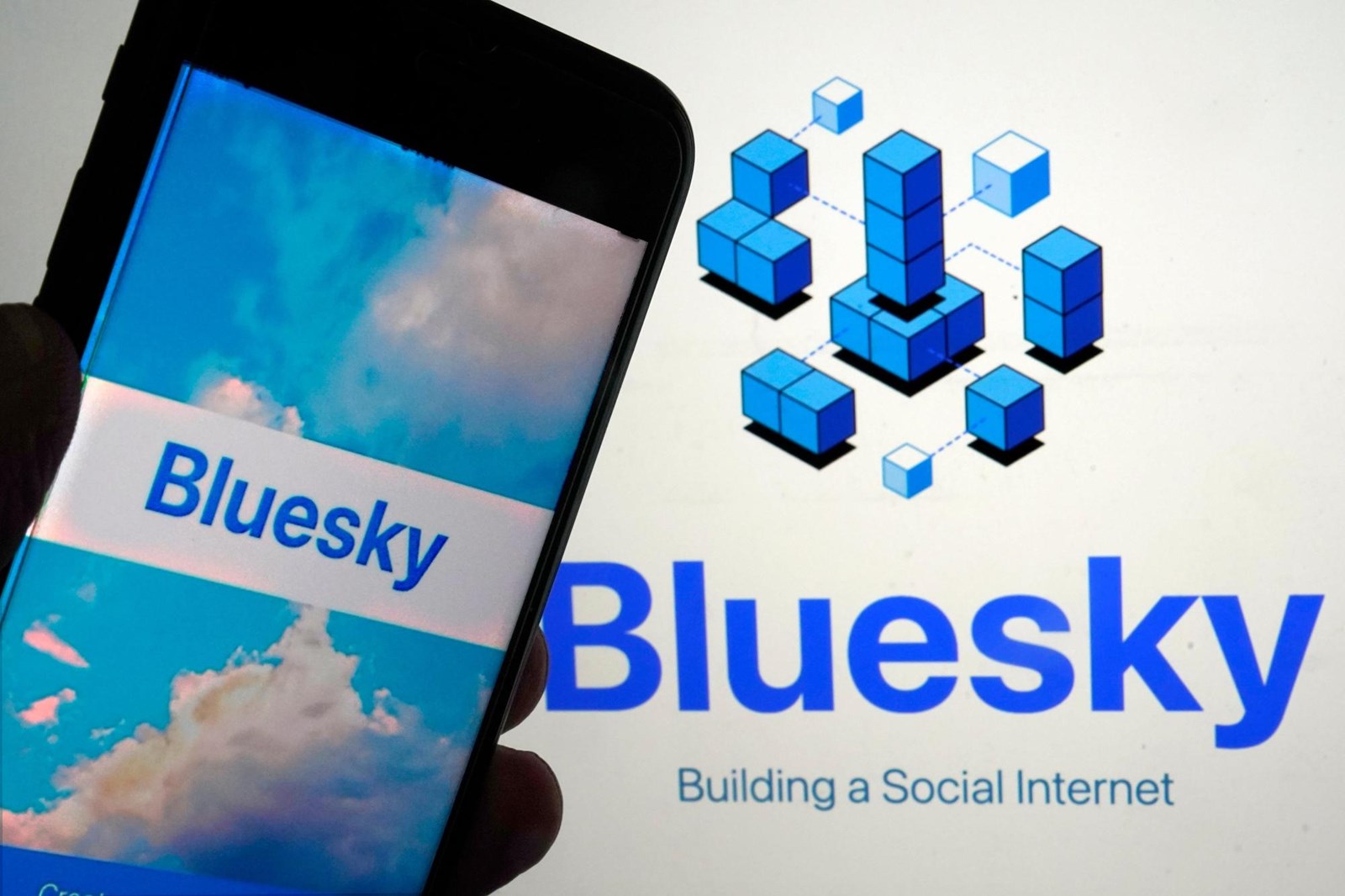 Bluesky_Growth_44679_1087935441.jpg
