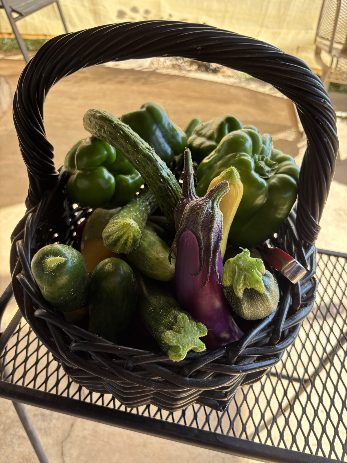 FARM-02-01-rotated_1094878032.jpg