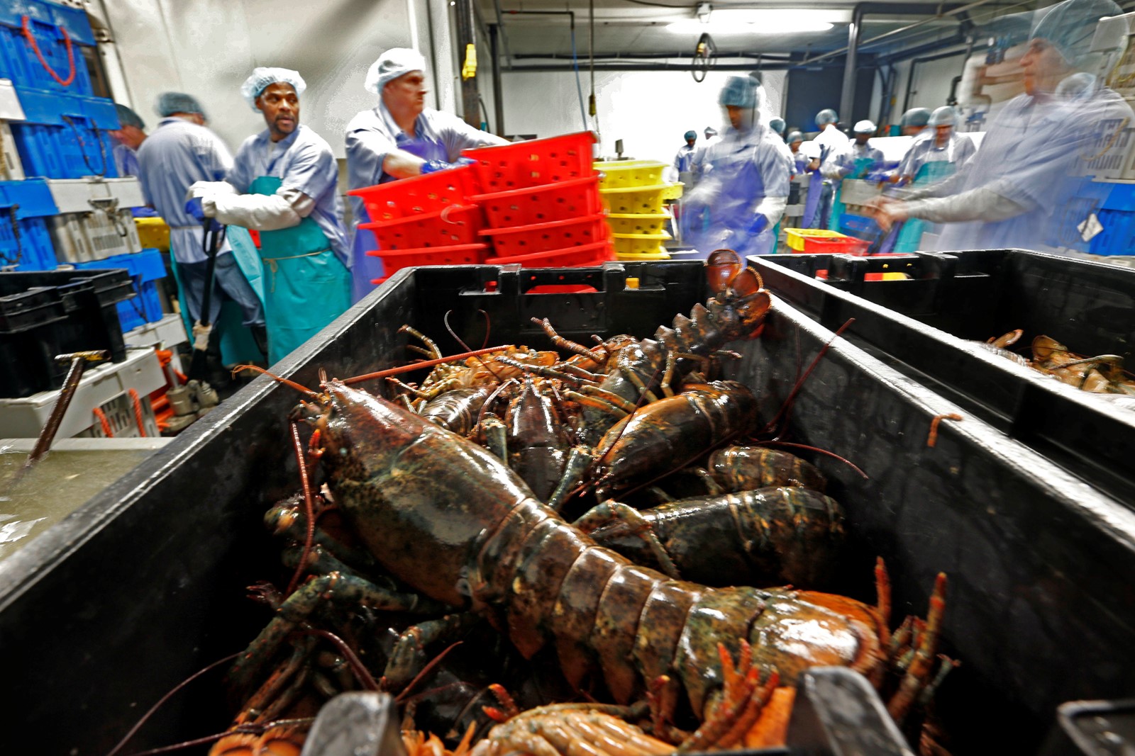 Trump_Seafood_22917--5ac31_1087584304.jpg