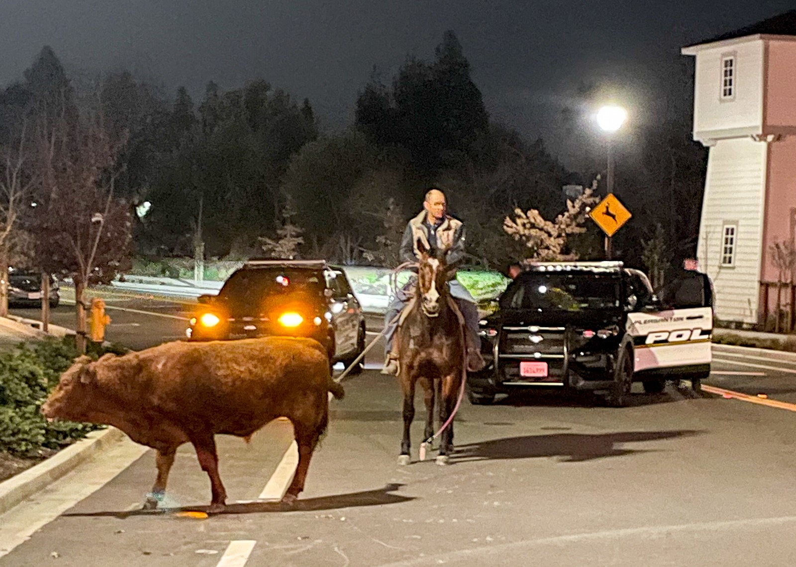 EBT-L-PTONCOW-0203-1_1059405982.jpg