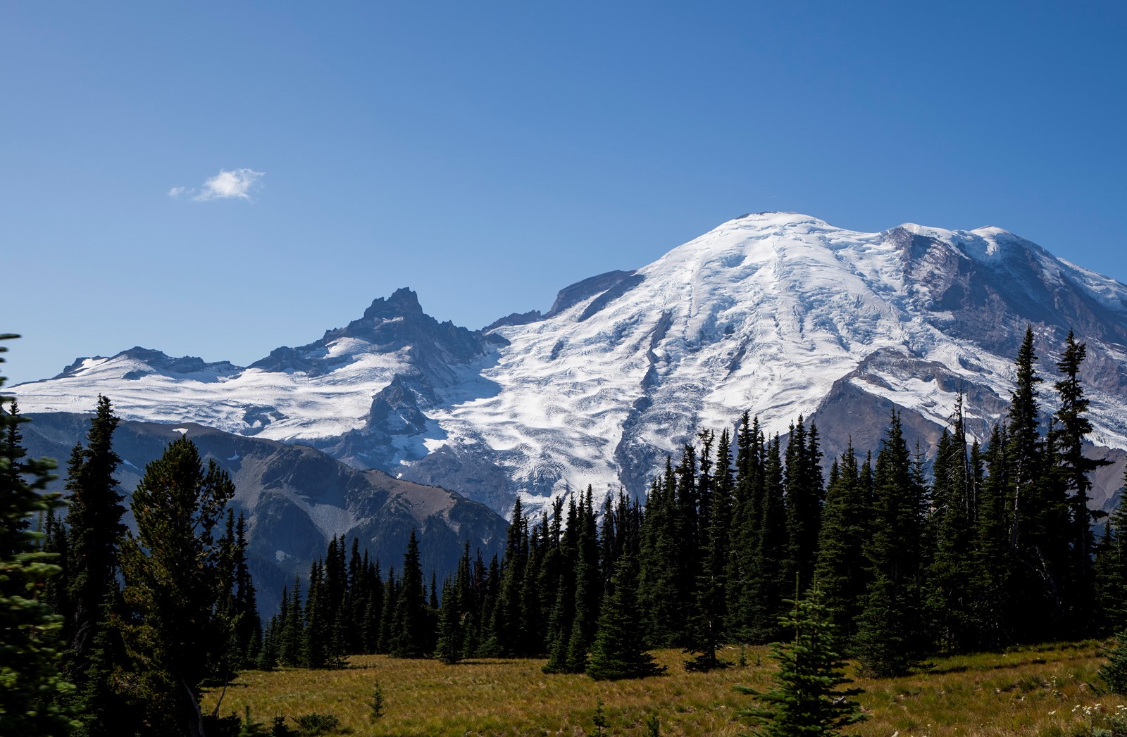 Mount_Rainier_Earthquake_Swarm_48080--bcfd6_1095194749.jpg