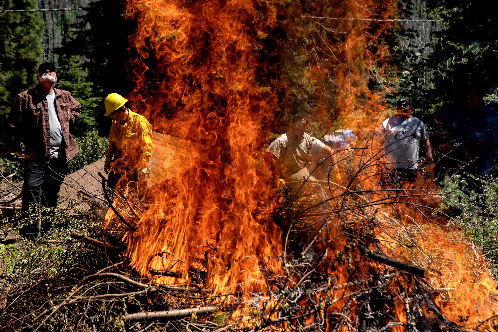 0712_NWS_tdp-z-SCISEQUOIASWILDFIRES-3_1081111970.jpg