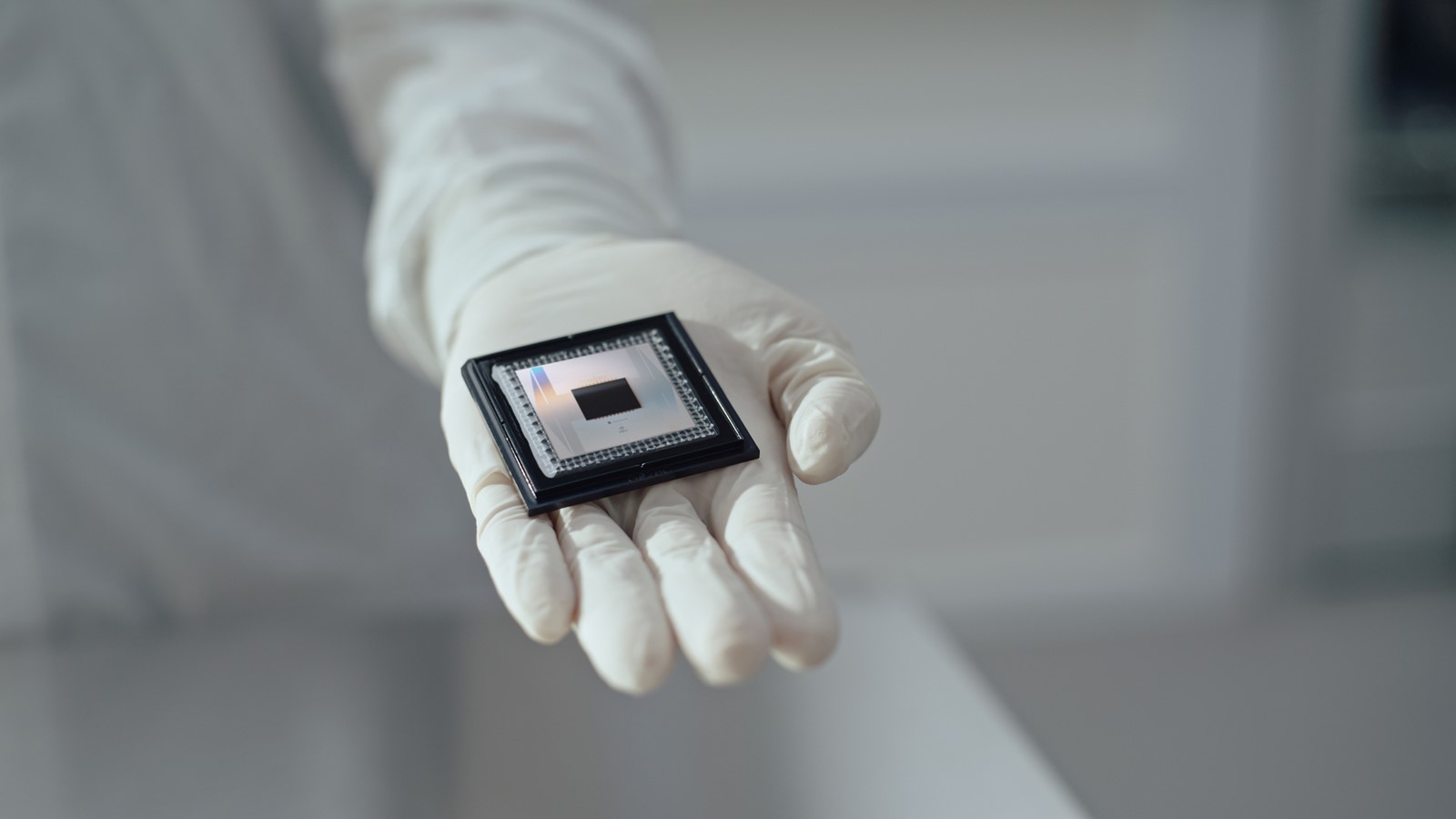 K6T94rLv_1087432556.jpg