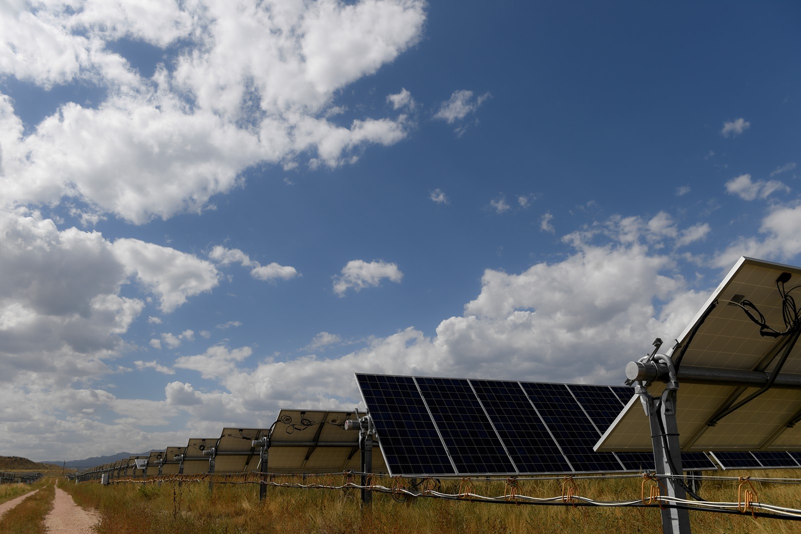 TDP-L-SOLAR-_ADO0044x_1090498414.jpg