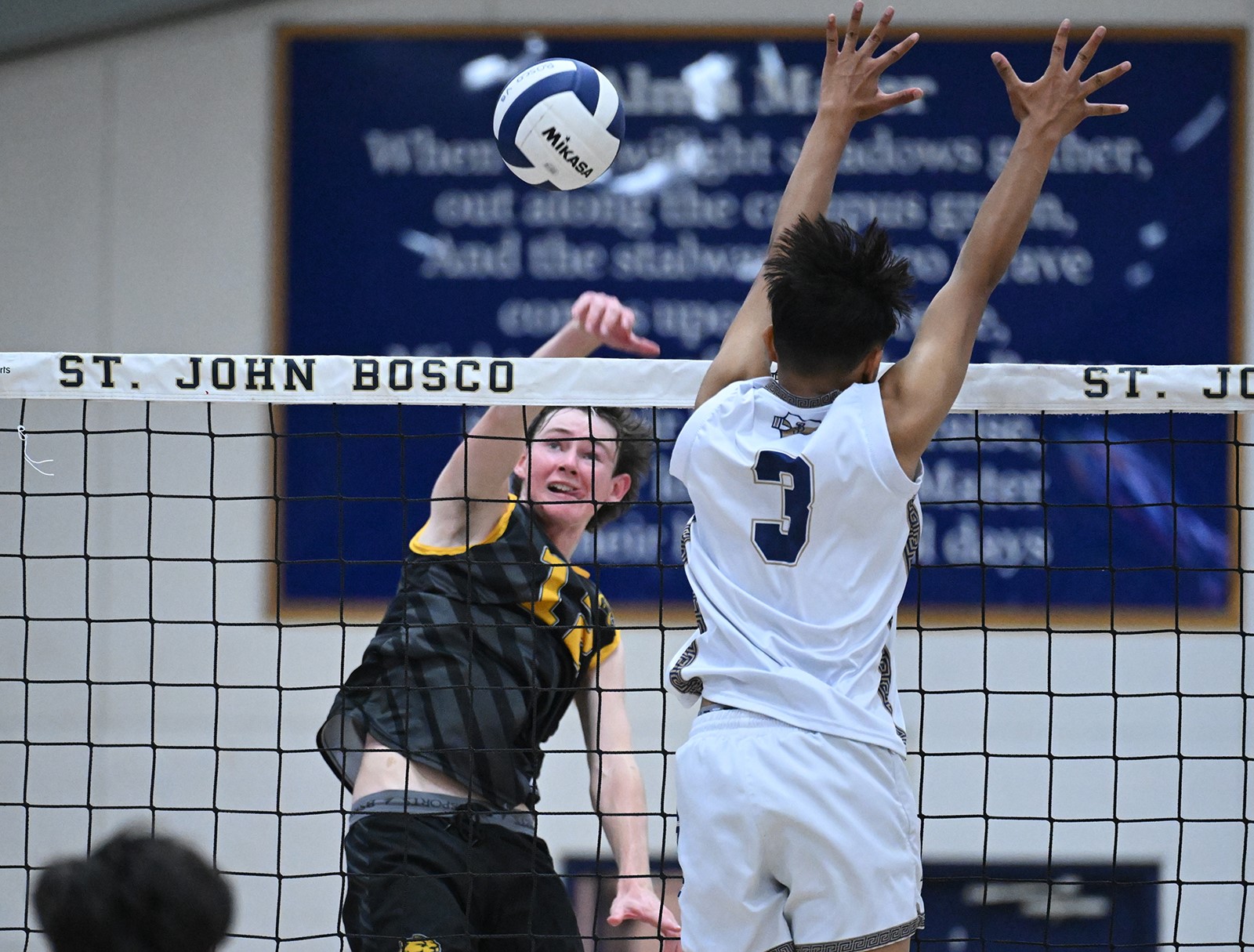 LPT-L-HSVB-PENIN-BOSCO-0501-09_1092610517.jpg