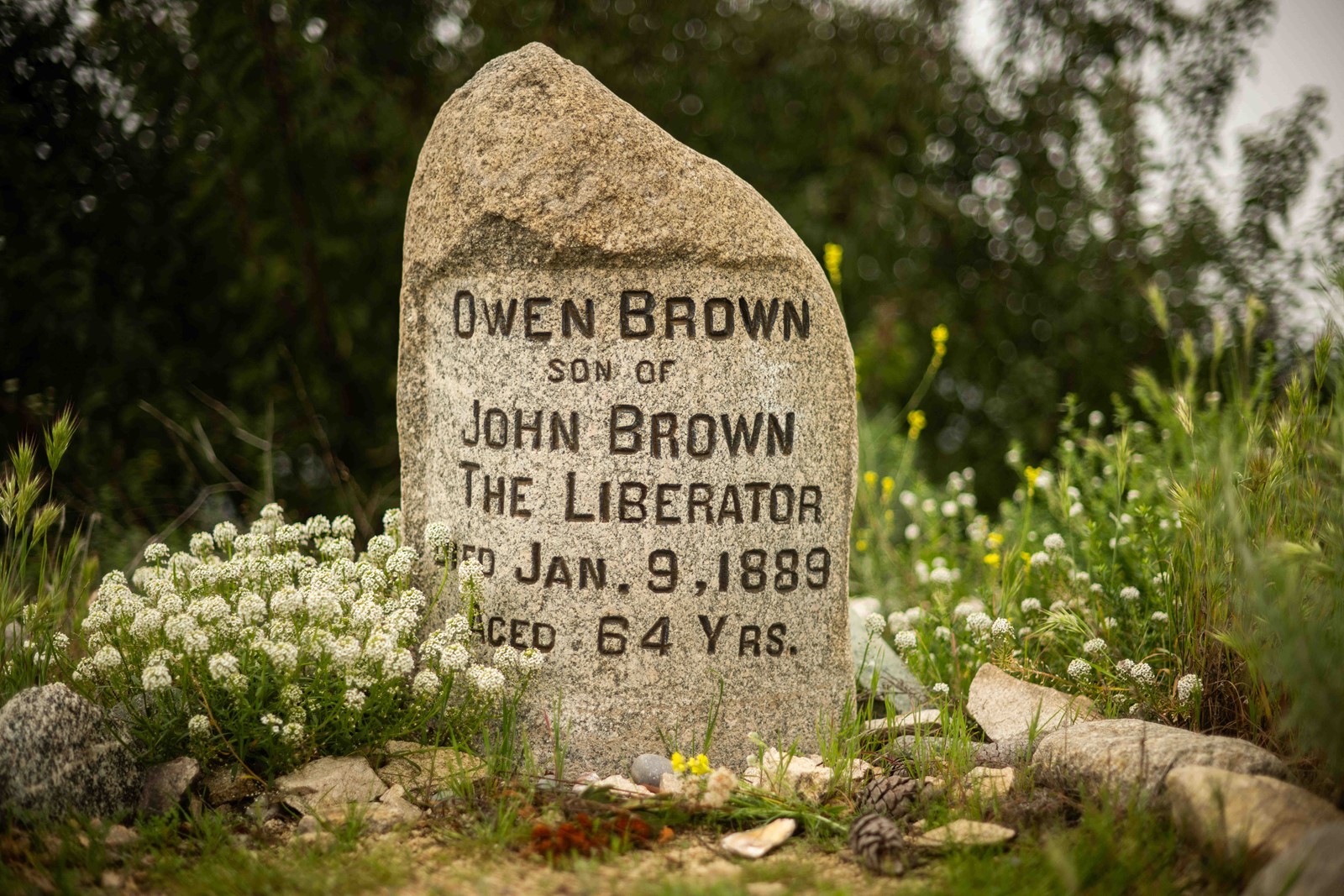 LDN-L-OWENBROWN-0302-01-SR#1_1088666463.jpg