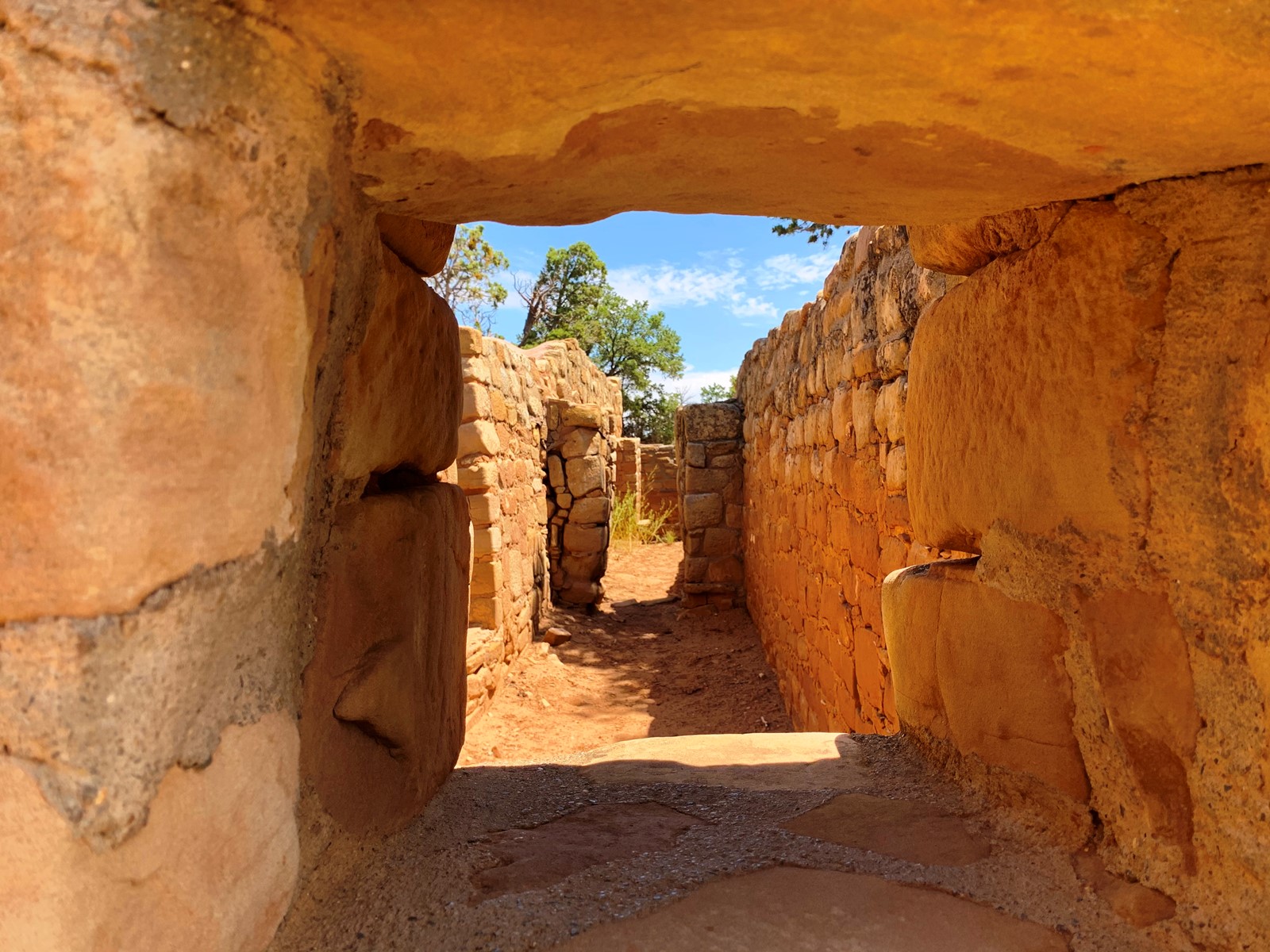 TDP-Z-MesaVerde2_1092030567.jpg