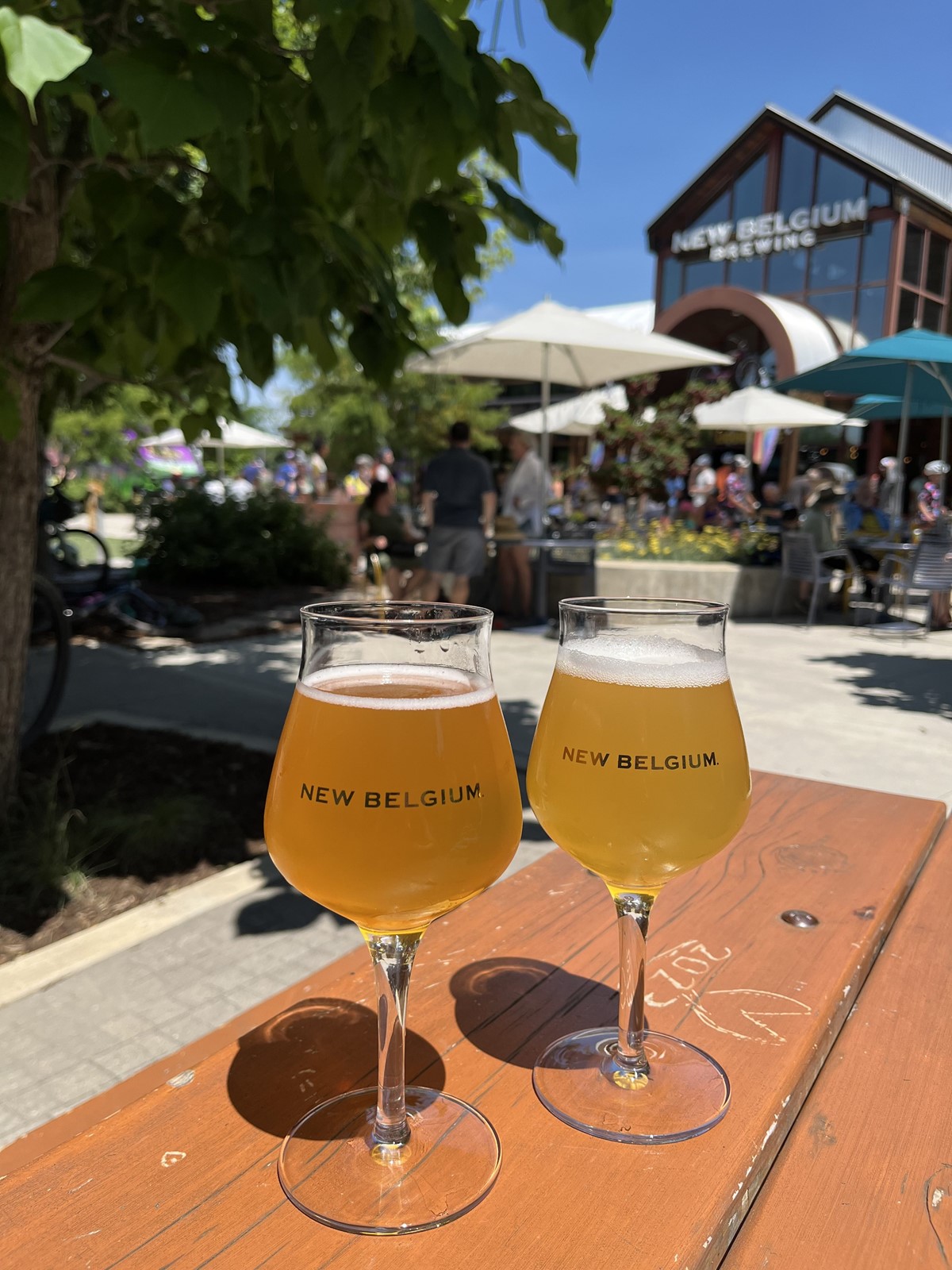 TDP-Z-NewBelgium-rotated_1092054021.jpg