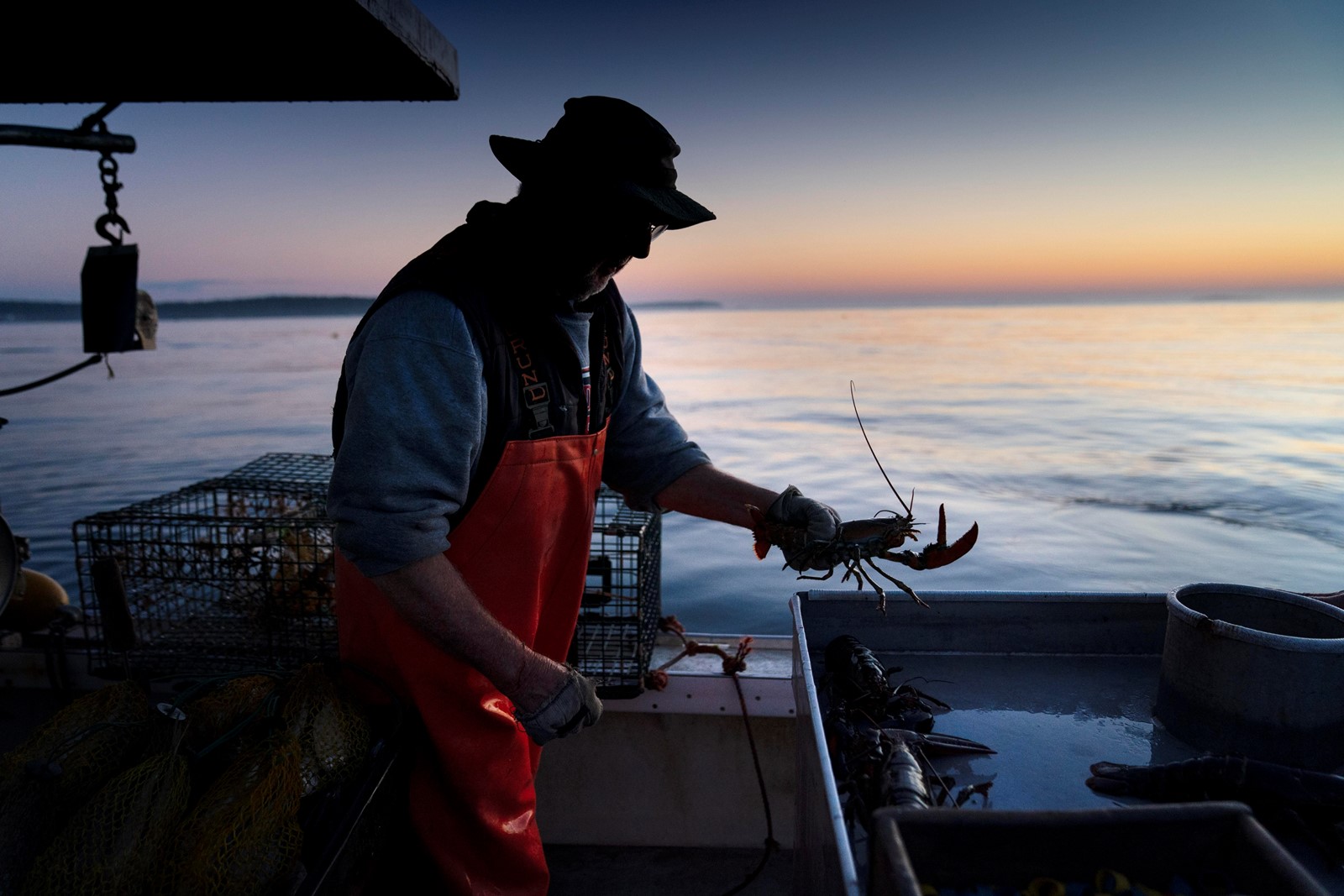 Lobster_Defamation_Suit_92730--1b258_1090422577.jpg