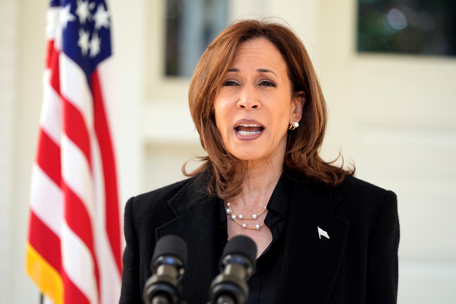 Election_2024_Harris_18380--07610_1085604798.jpg