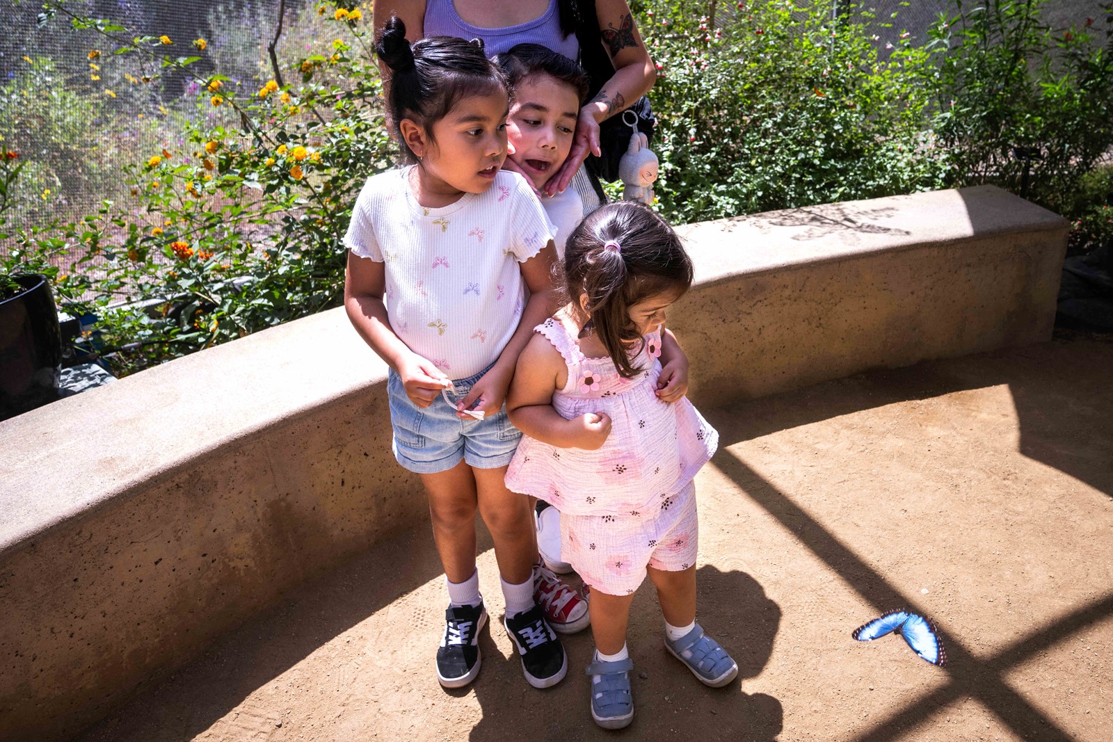 0617_NWS_LDN-L-BUTTERFLY-PAVILION-0613-01-SR_1094384403.jpg