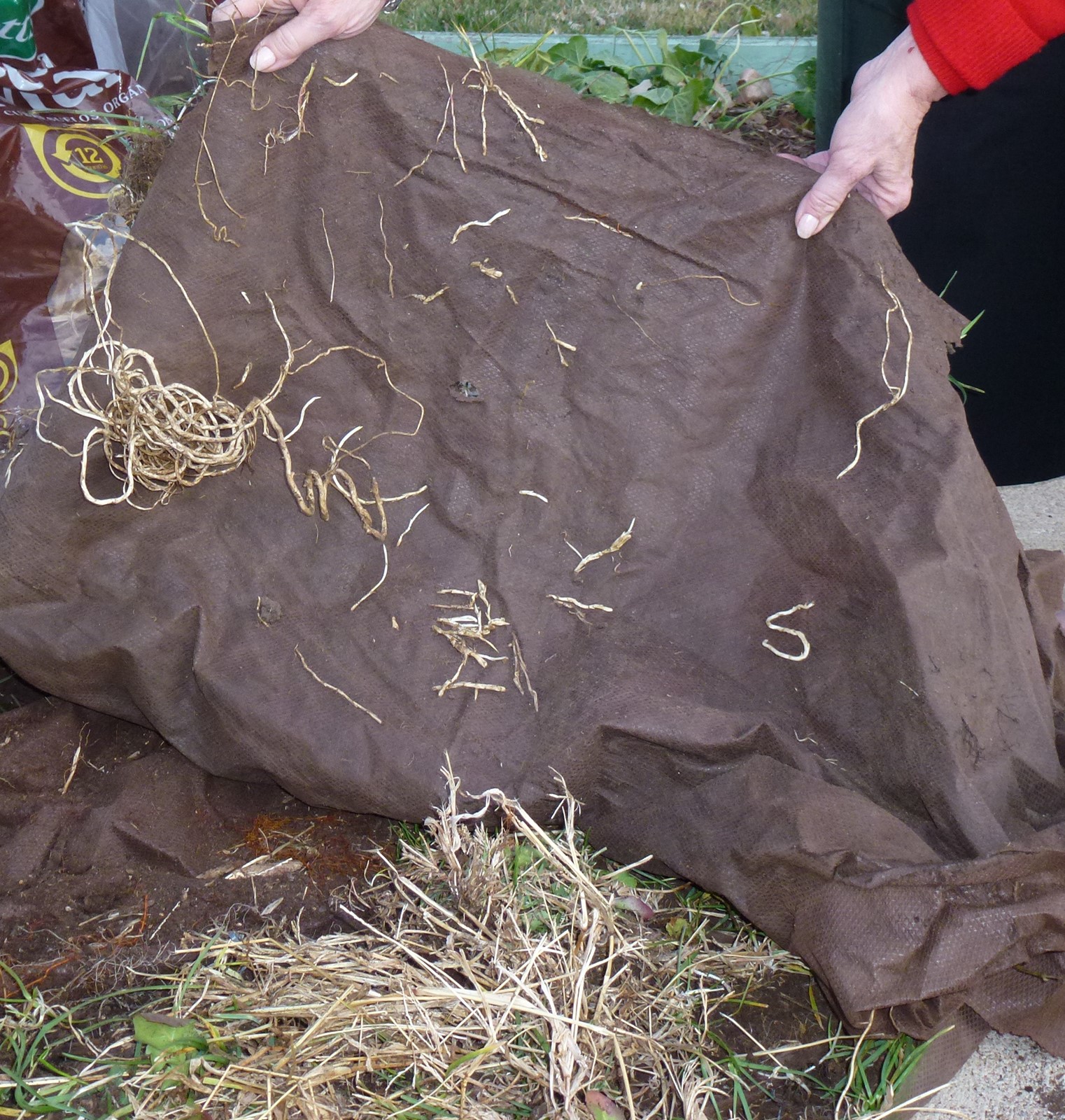 0426_NWS_TDP-L-FE27WeedFabric3-1_1077917837.jpg