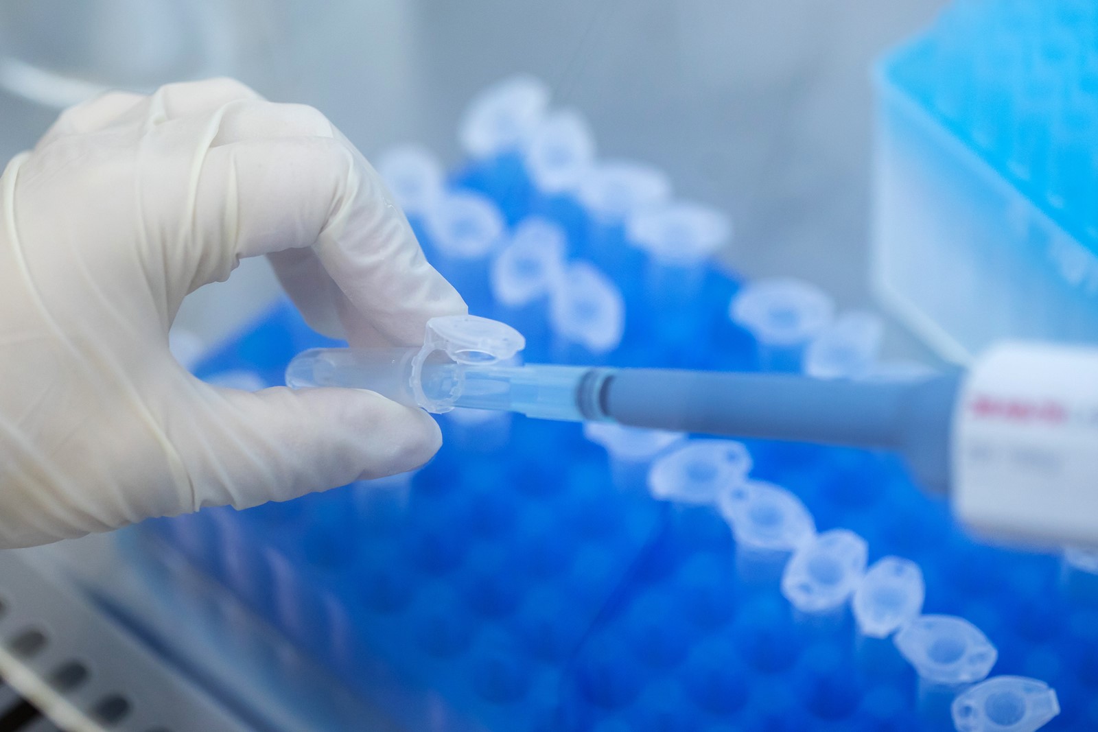 sarepta-bg-RPIA3F7RSVB3TOFUTWRNBLXRKY_1095449780.jpg