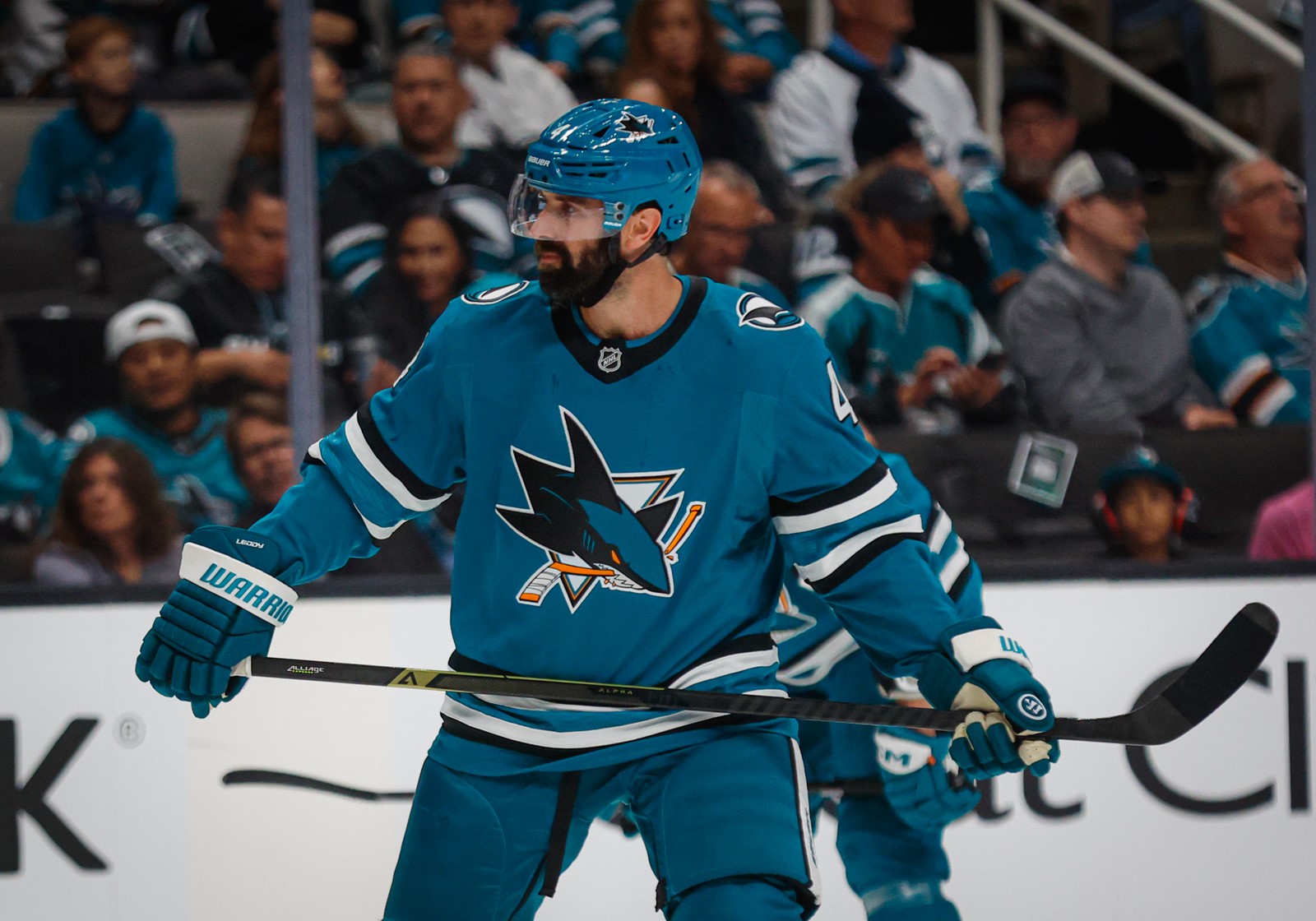 BNG-L-SHARKS-1010-69_1099255210.jpg