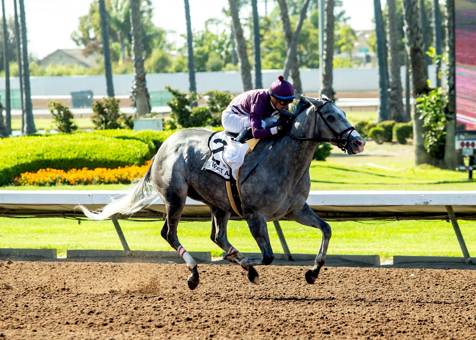 Los_Alamitos_Horse_Racing_50019--eee2b_1095046446.jpg