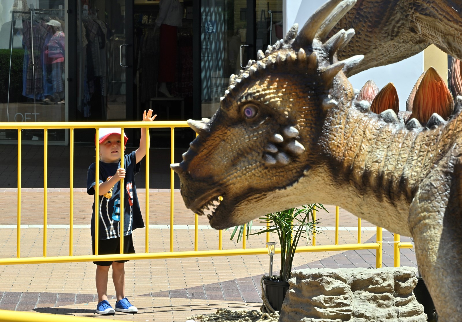 0710_NWS_OCR-L-A2-DINO_1095201164.jpg