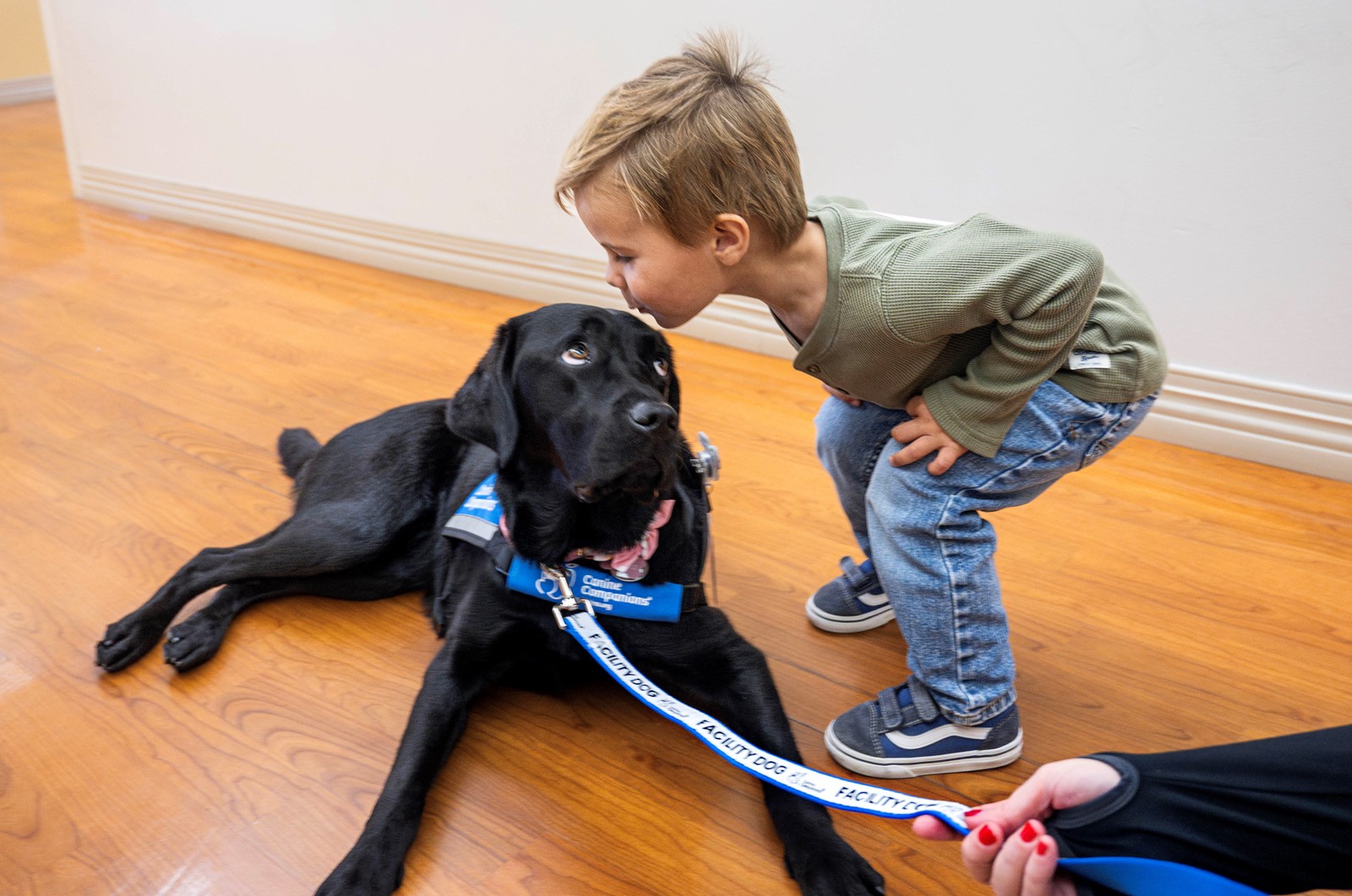 1117_NWS_OCR-L-MISSIONDOG-1118-01-MS_1100060150.jpg