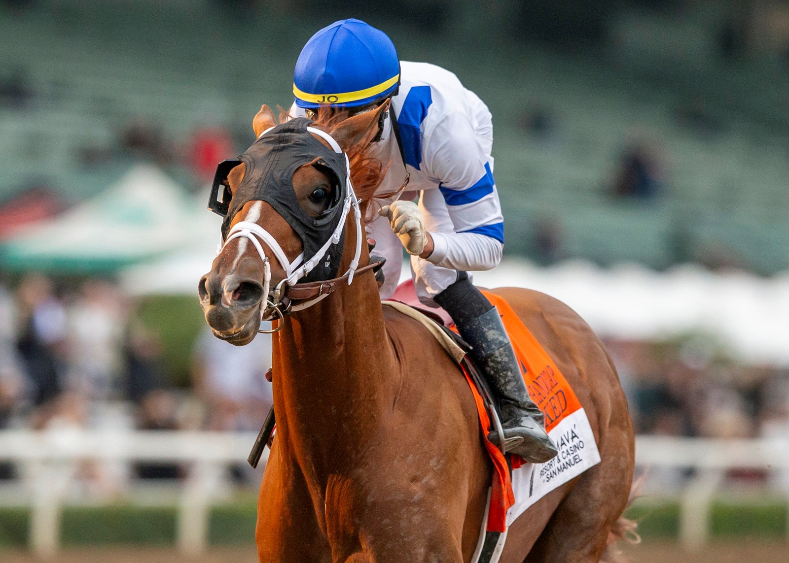 Santa_Anita_Horse_Racing_30575--35fb2_1090358528.jpg