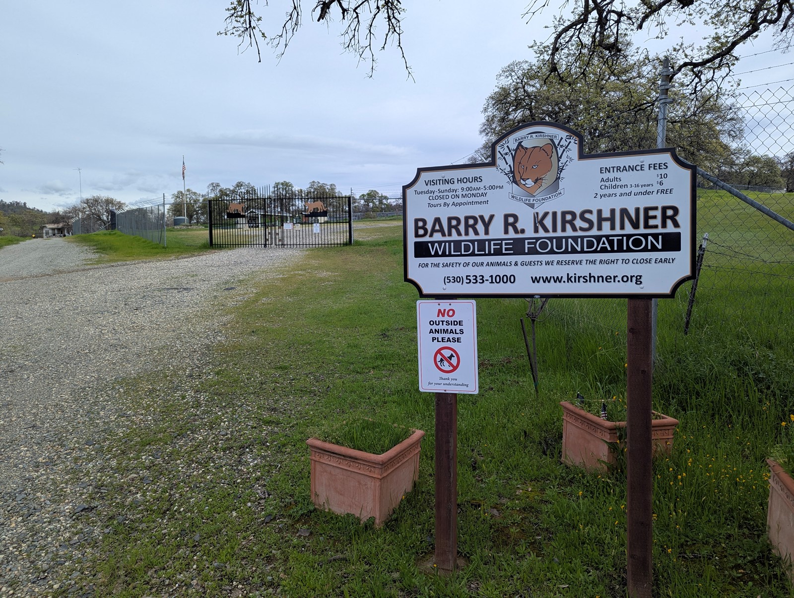 KIRSHNER-01_1095161115.jpg