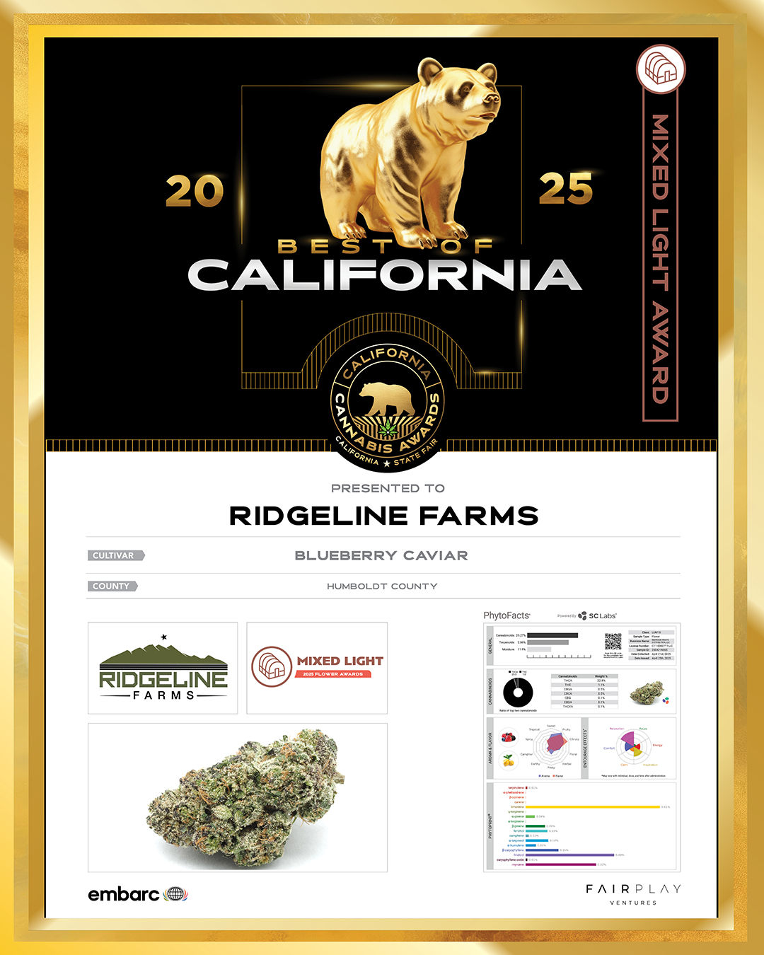 POT-01_1095433204.jpg